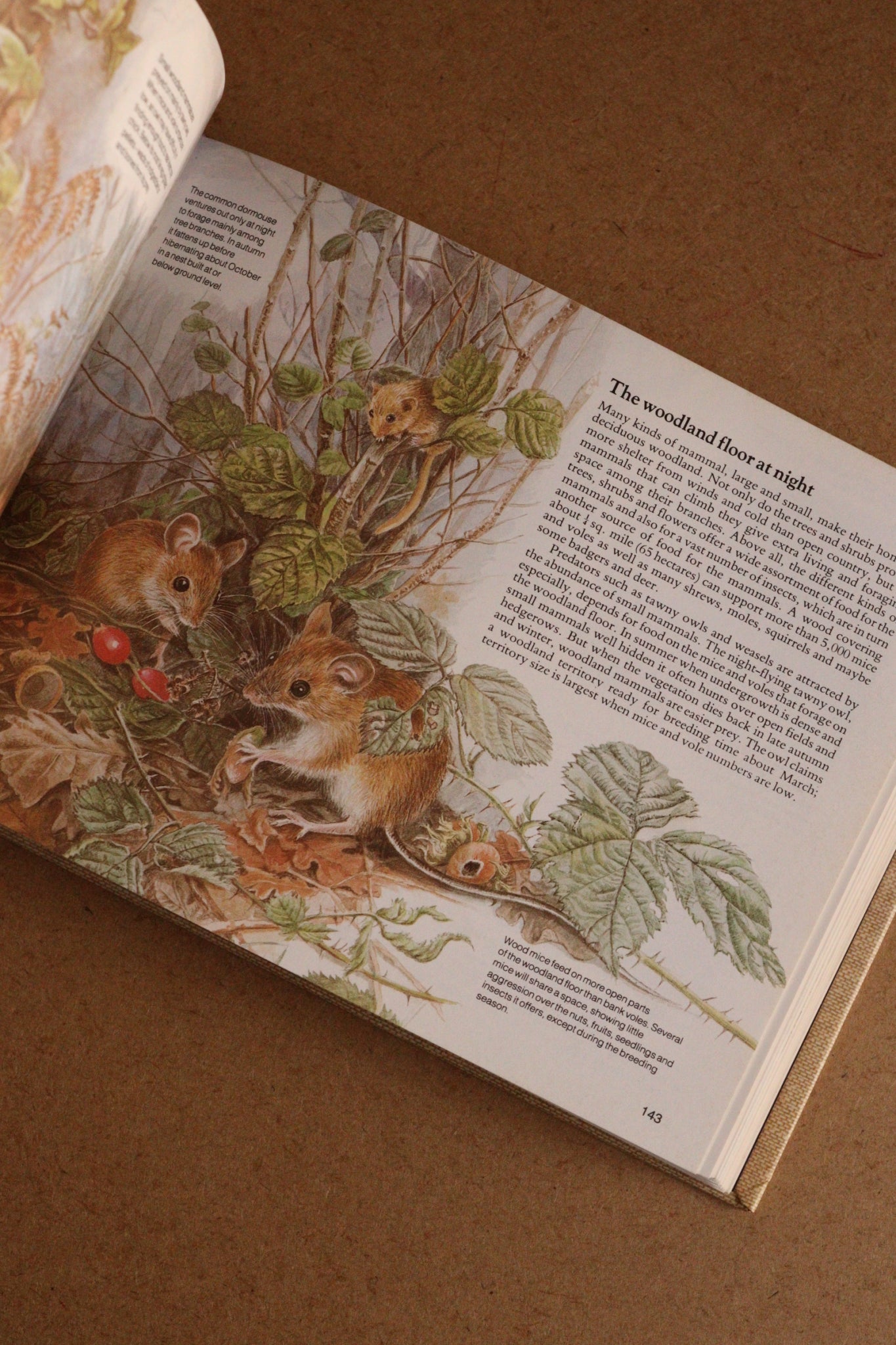 Reader's Digest Nature Lover's Library Field Guides of Britain, 1ª Edición, 1981-1984, Completa