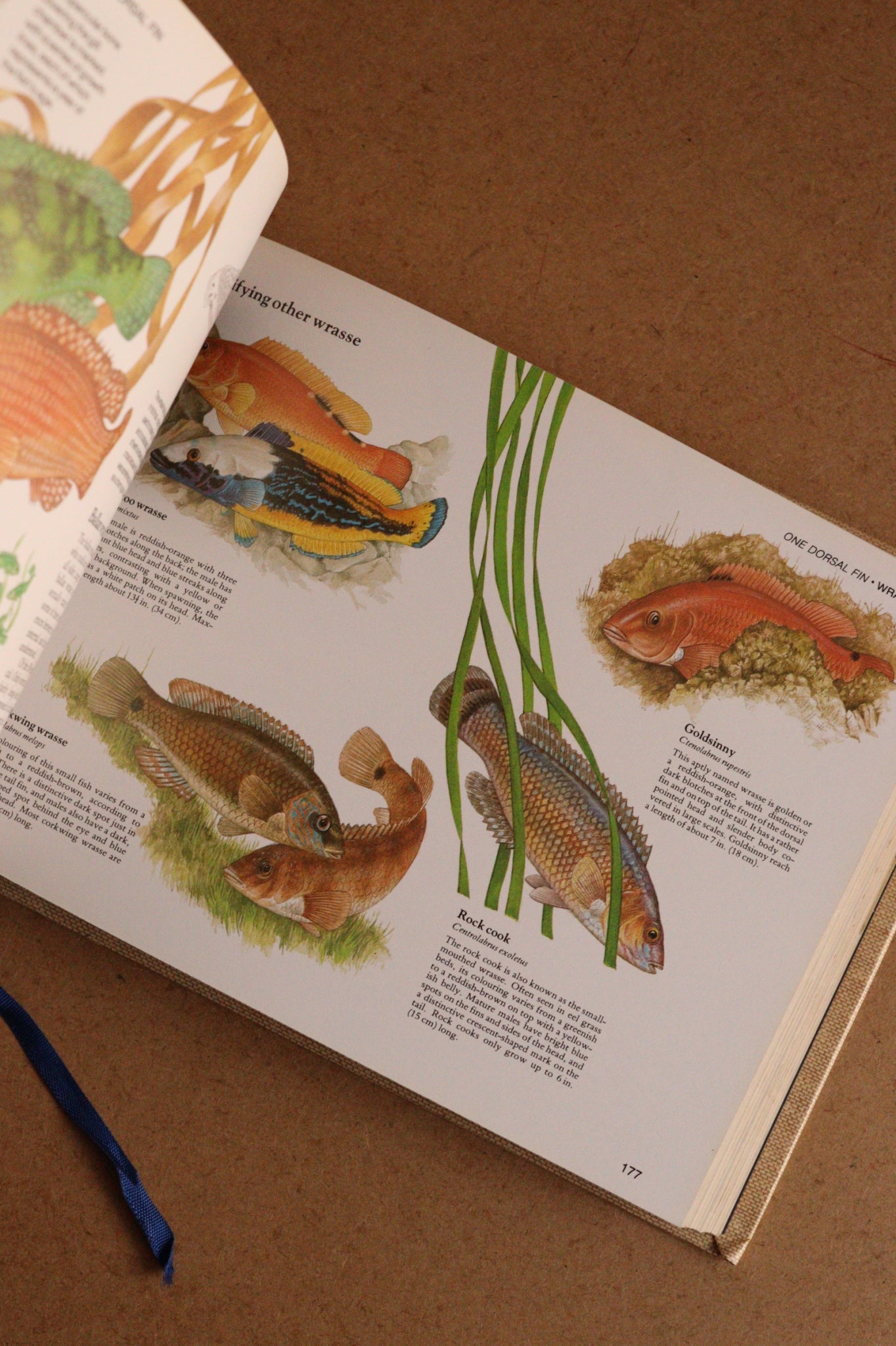Reader's Digest Nature Lover's Library Field Guides of Britain, 1ª Edición, 1981-1984, Completa