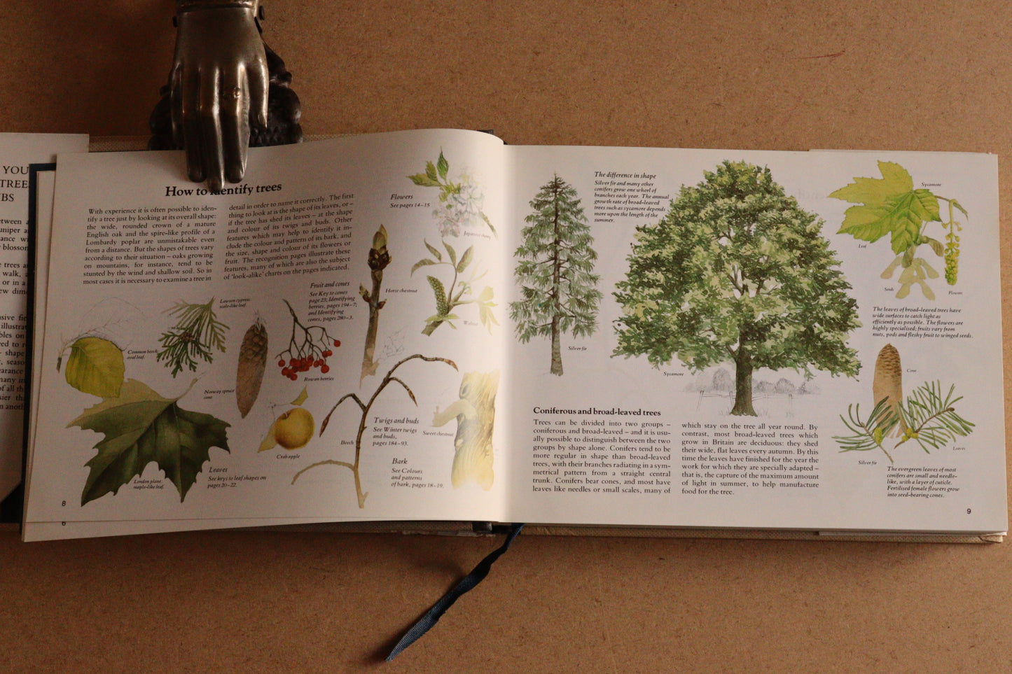 Reader's Digest Nature Lover's Library Field Guides of Britain, 1ª Edición, 1981-1984, Completa