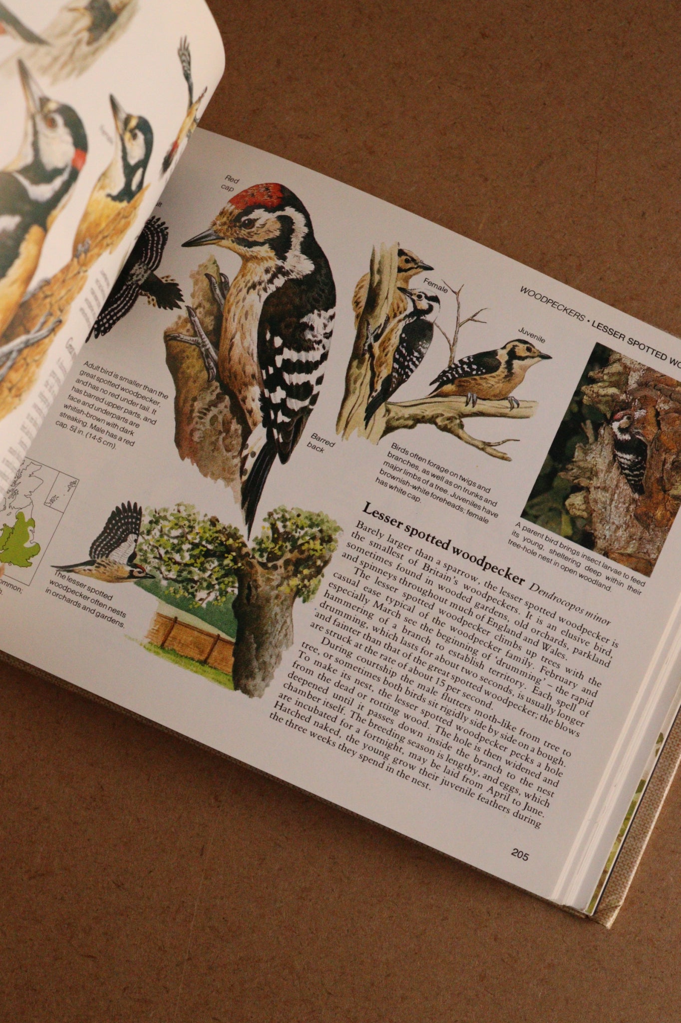 Reader's Digest Nature Lover's Library Field Guides of Britain, 1ª Edición, 1981-1984, Completa