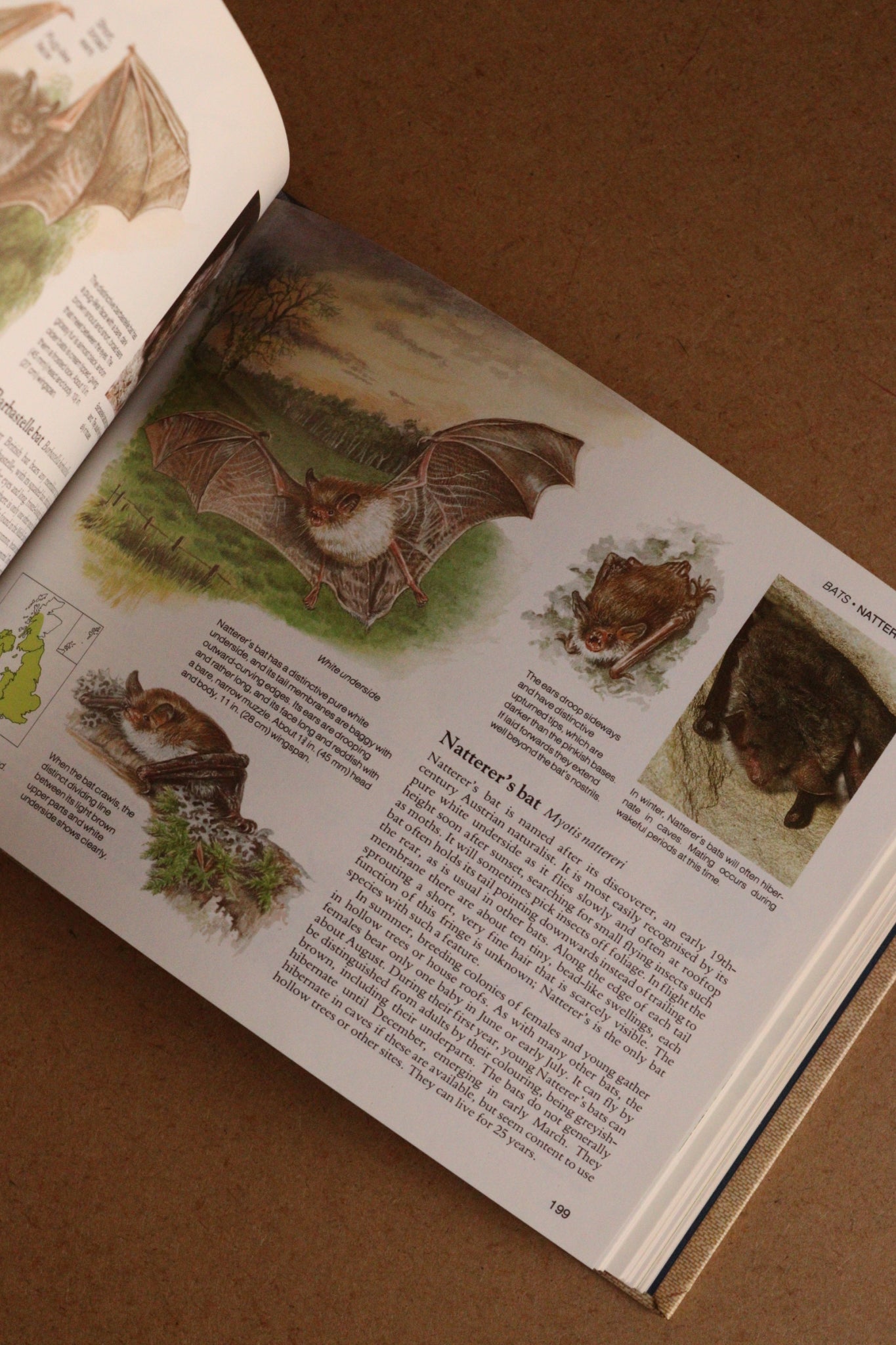 Reader's Digest Nature Lover's Library Field Guides of Britain, 1ª Edición, 1981-1984, Completa