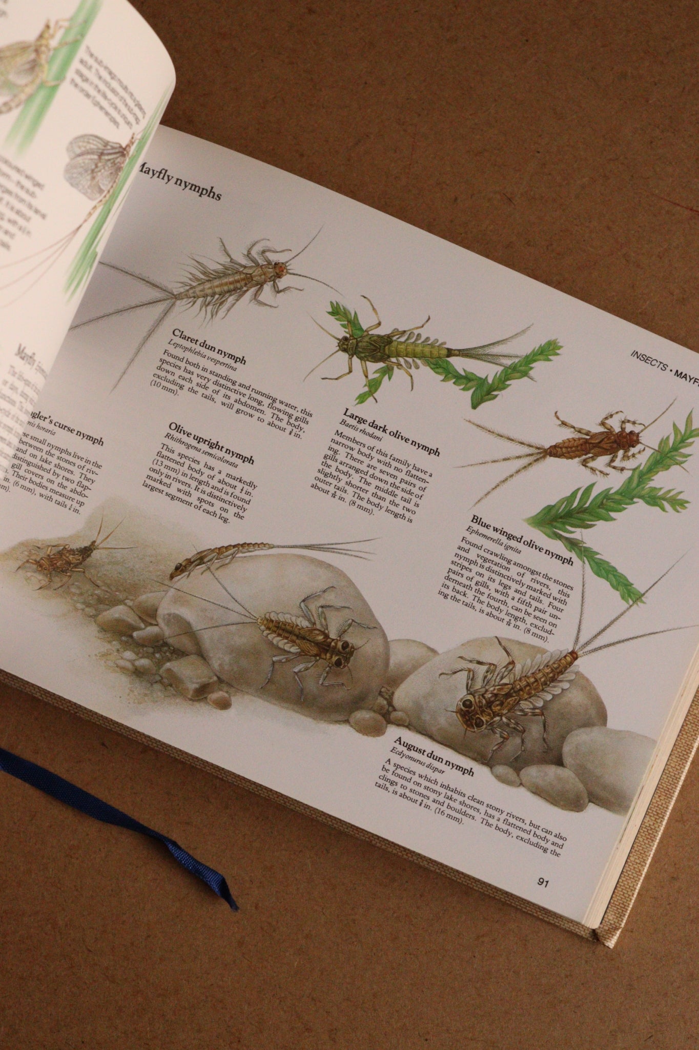 Reader's Digest Nature Lover's Library Field Guides of Britain, 1ª Edición, 1981-1984, Completa