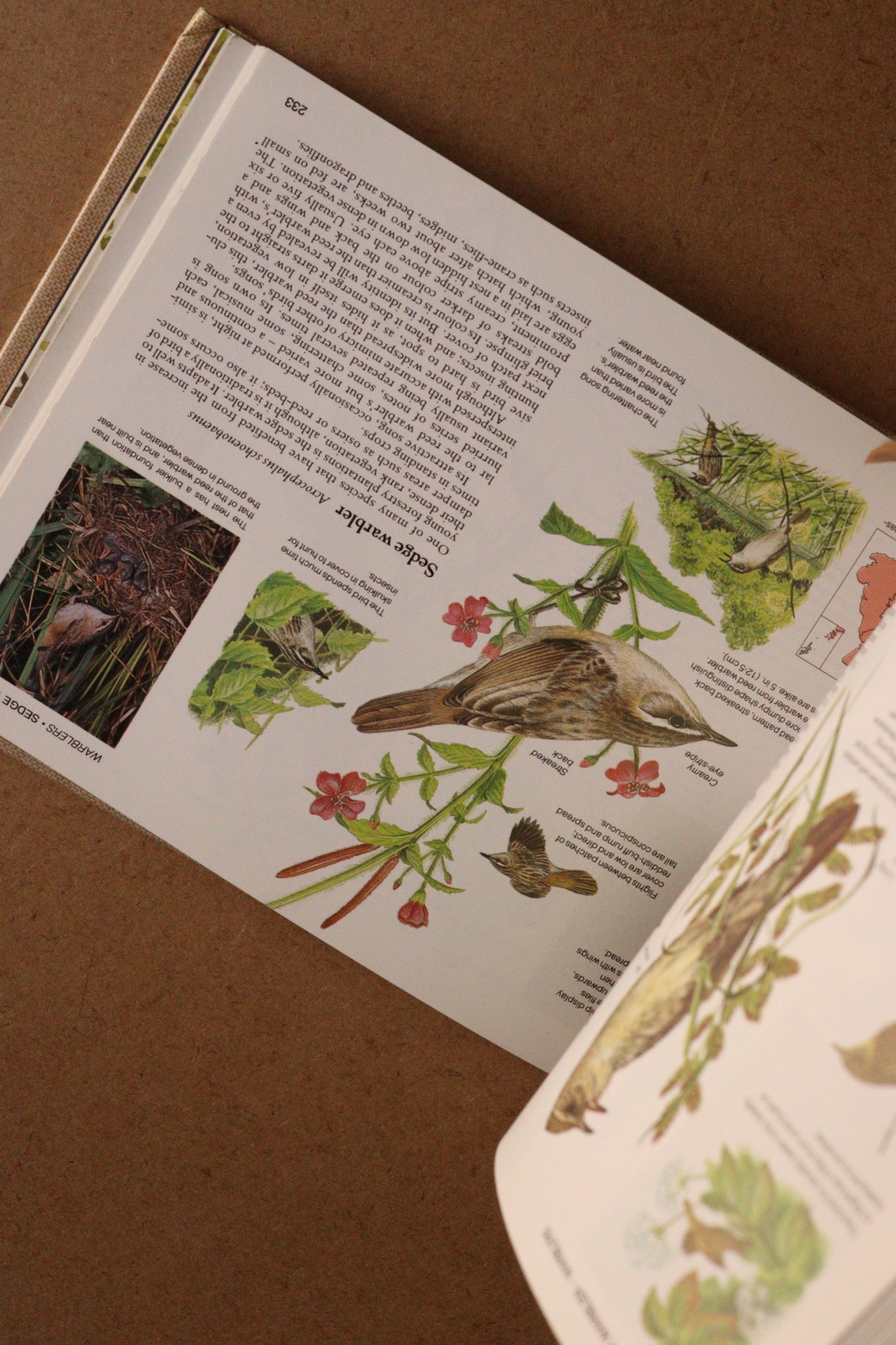 Reader's Digest Nature Lover's Library Field Guides of Britain, 1ª Edición, 1981-1984, Completa