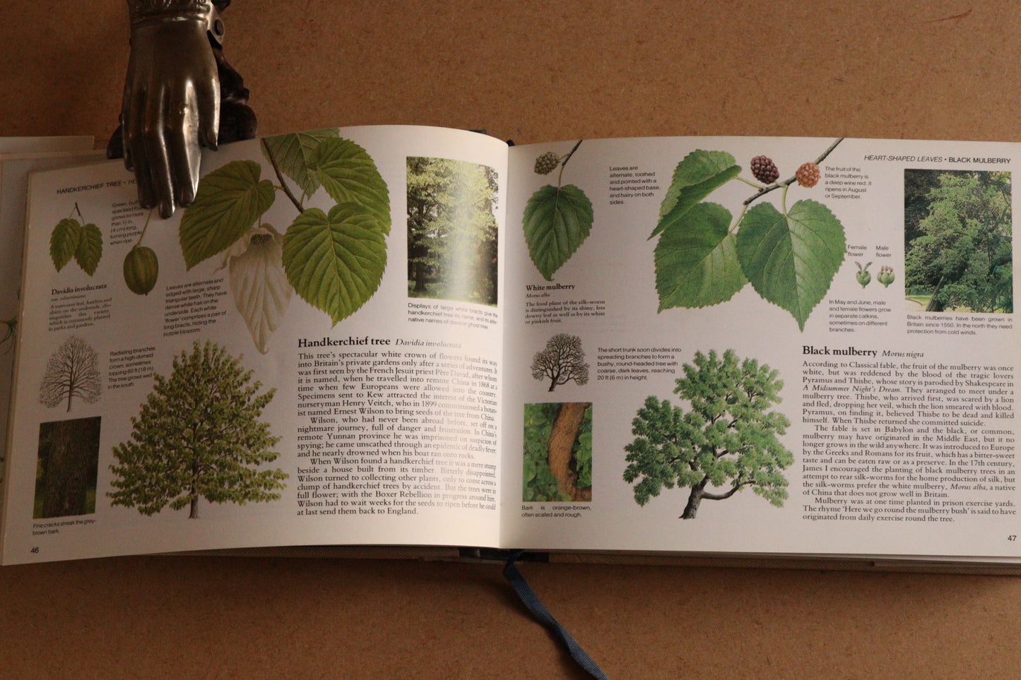 Reader's Digest Nature Lover's Library Field Guides of Britain, 1ª Edición, 1981-1984, Completa