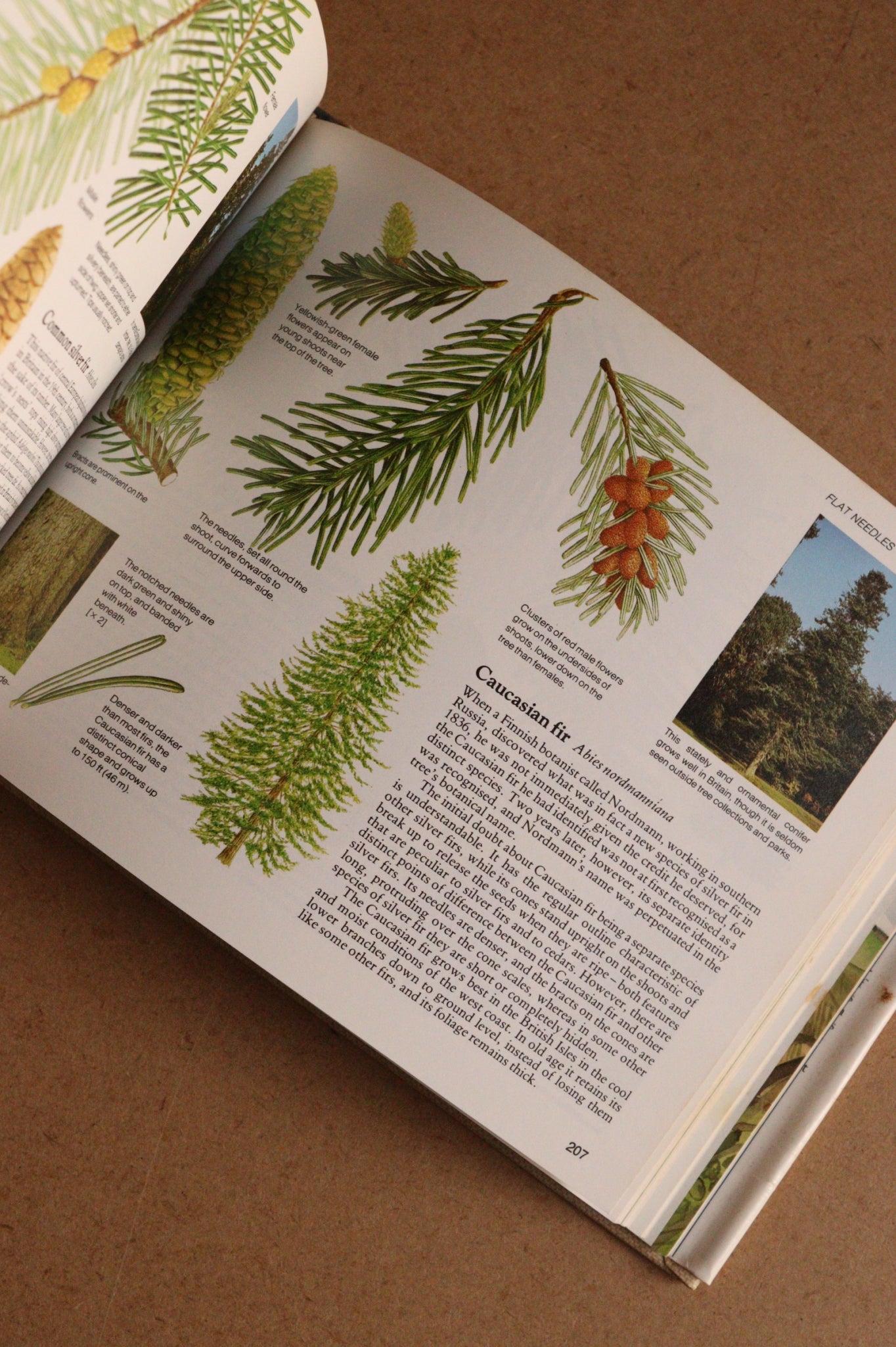 Reader's Digest Nature Lover's Library Field Guides of Britain, 1ª Edición, 1981-1984, Completa