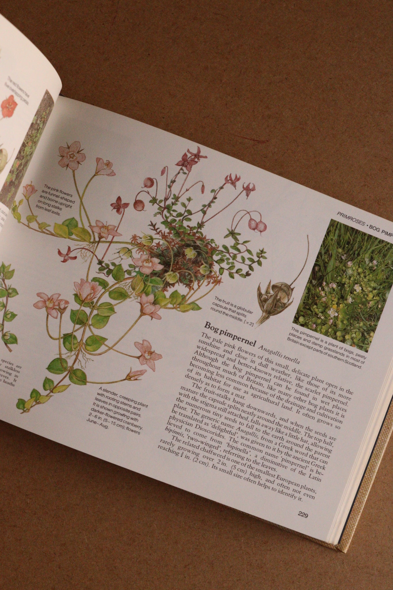 Reader's Digest Nature Lover's Library Field Guides of Britain, 1ª Edición, 1981-1984, Completa