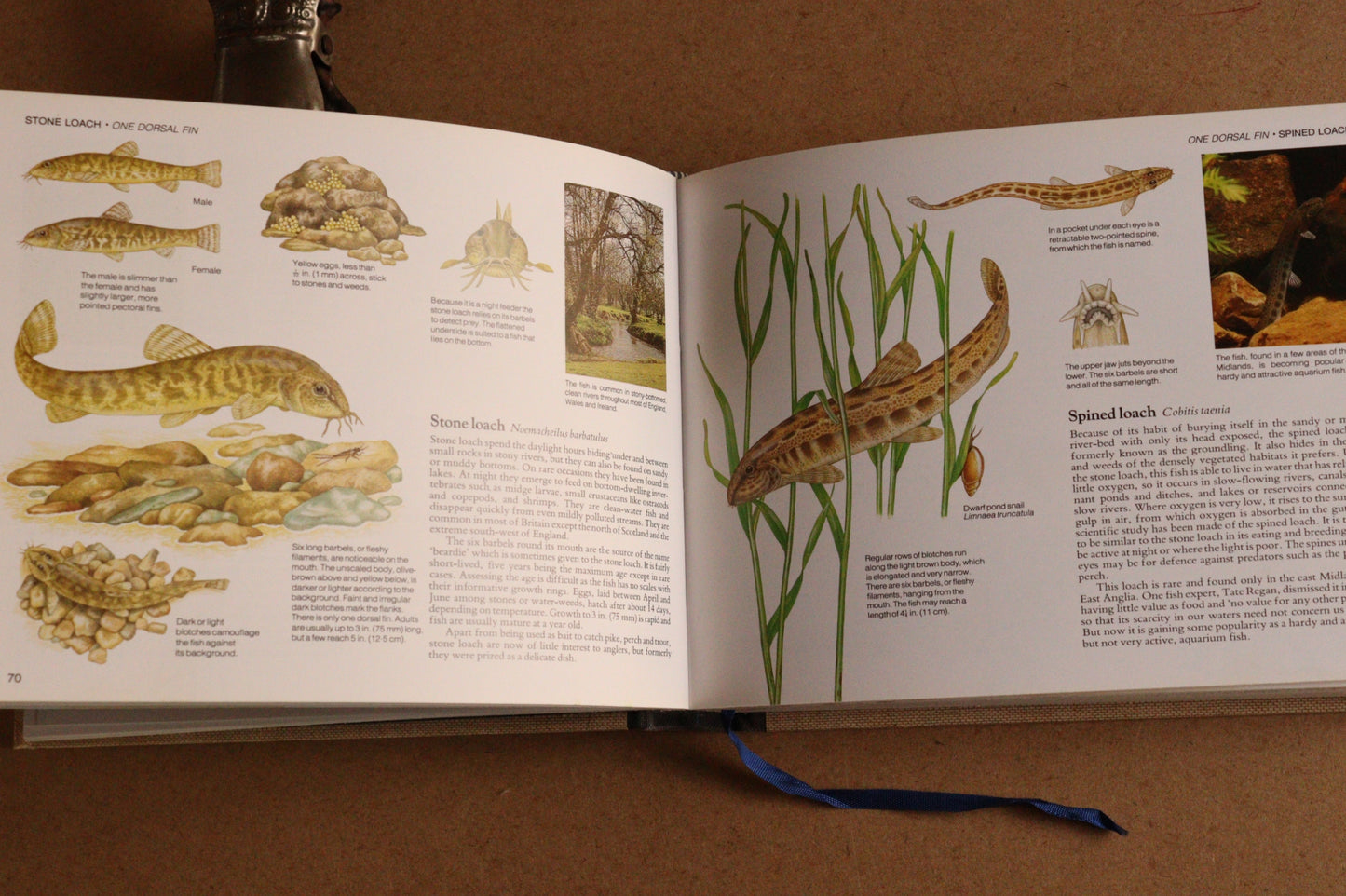 Reader's Digest Nature Lover's Library Field Guides of Britain, 1ª Edición, 1981-1984, Completa