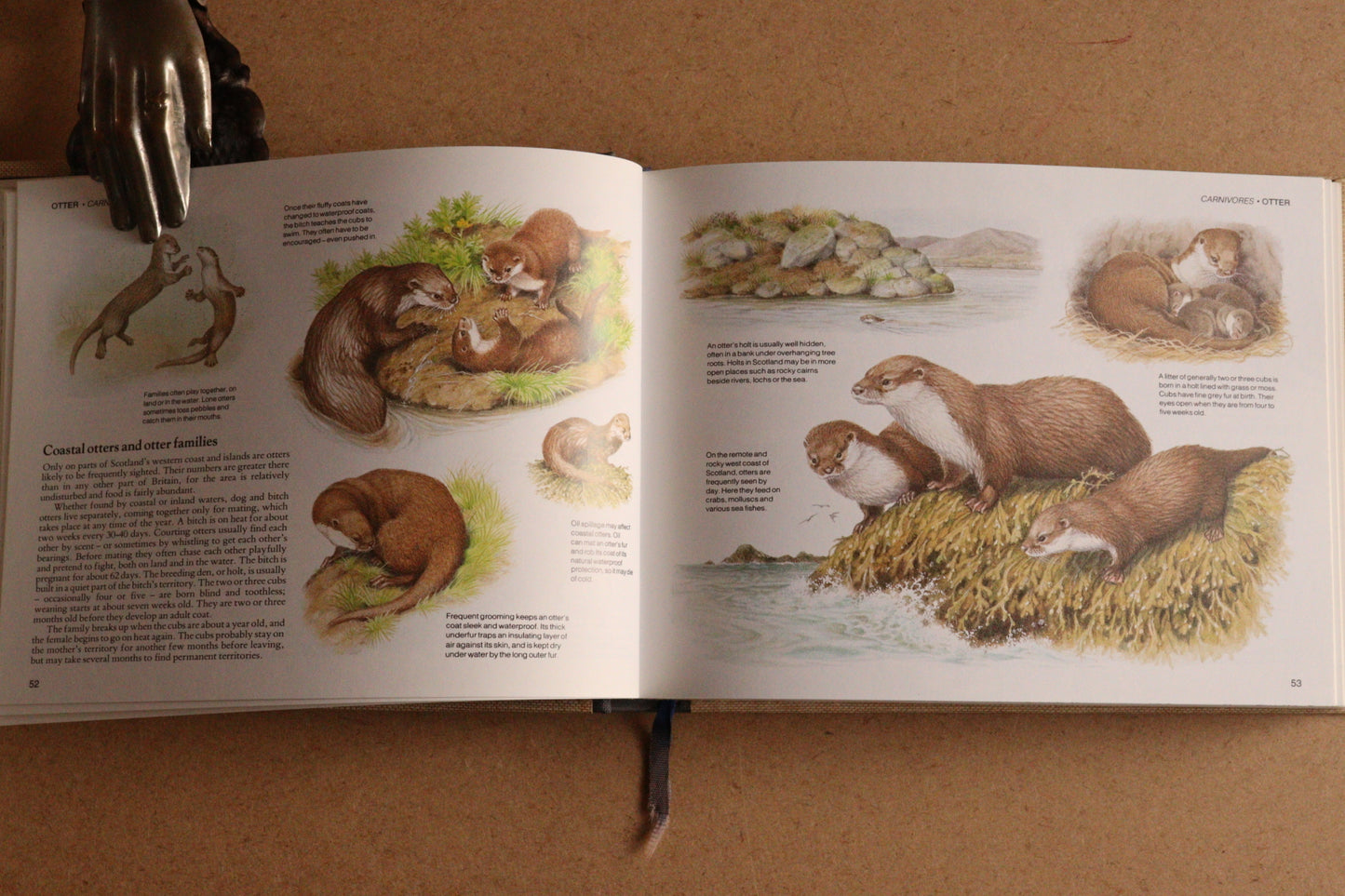 Reader's Digest Nature Lover's Library Field Guides of Britain, 1ª Edición, 1981-1984, Completa