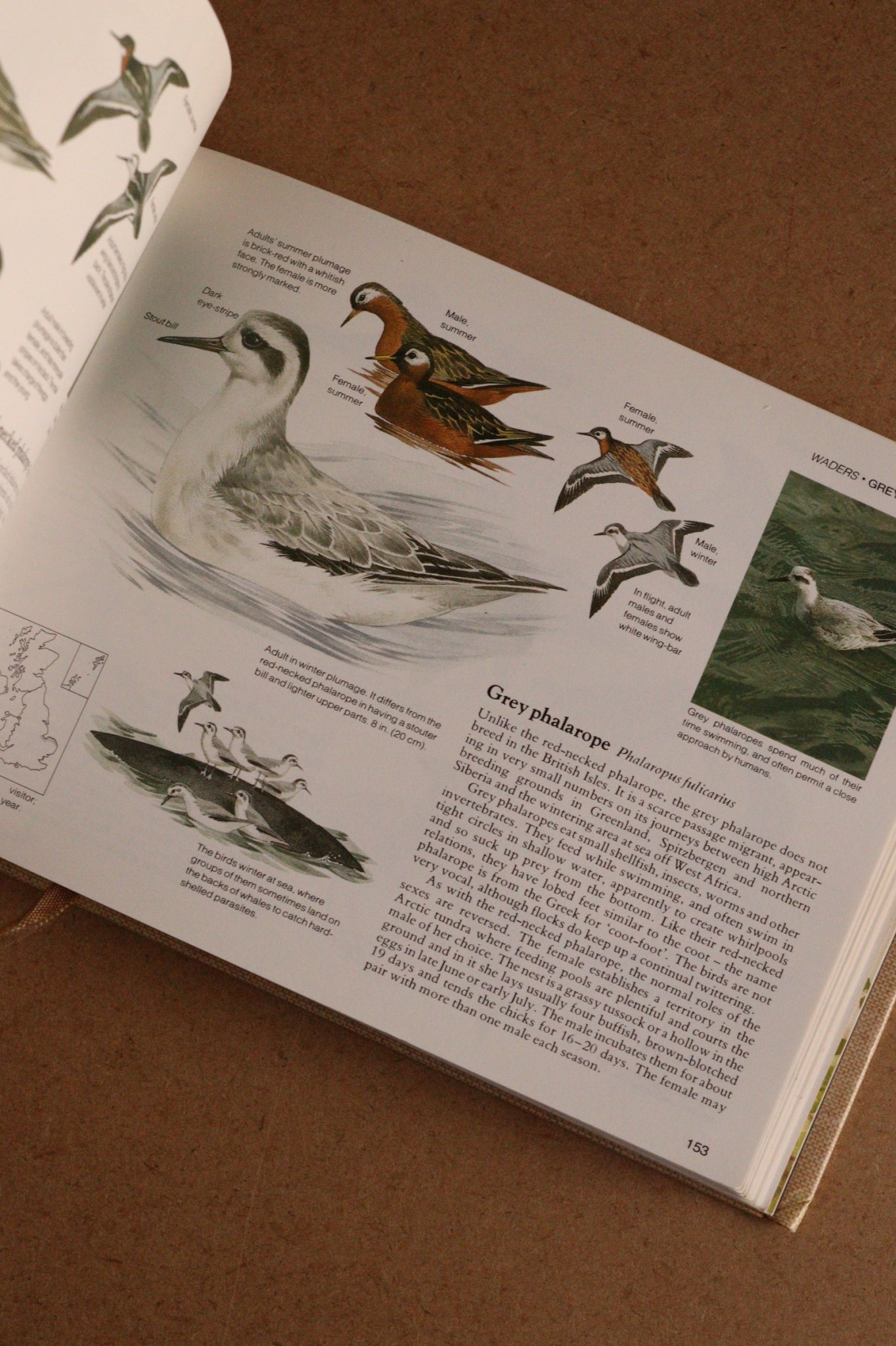 Reader's Digest Nature Lover's Library Field Guides of Britain, 1ª Edición, 1981-1984, Completa