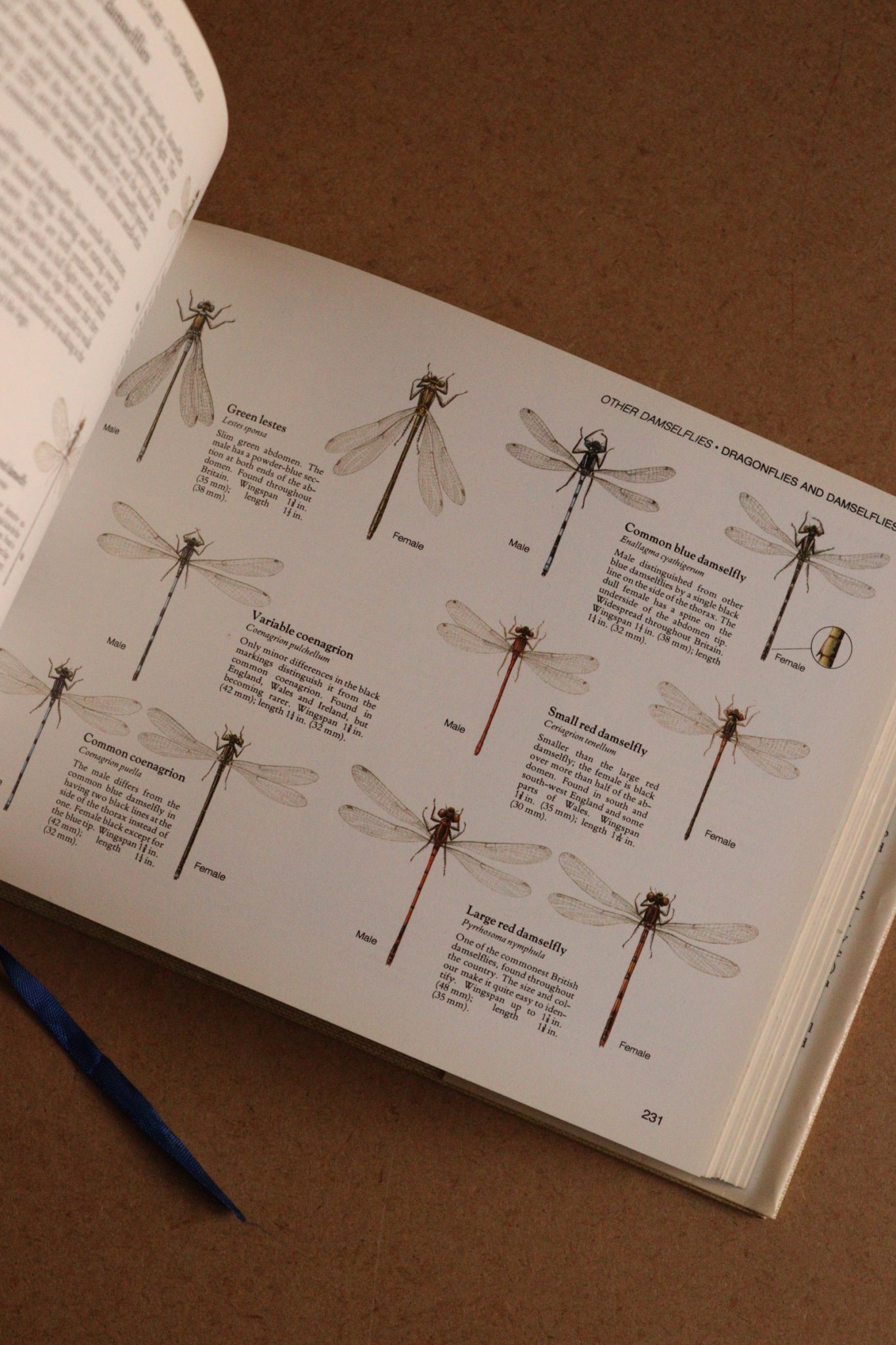 Reader's Digest Nature Lover's Library Field Guides of Britain, 1ª Edición, 1981-1984, Completa