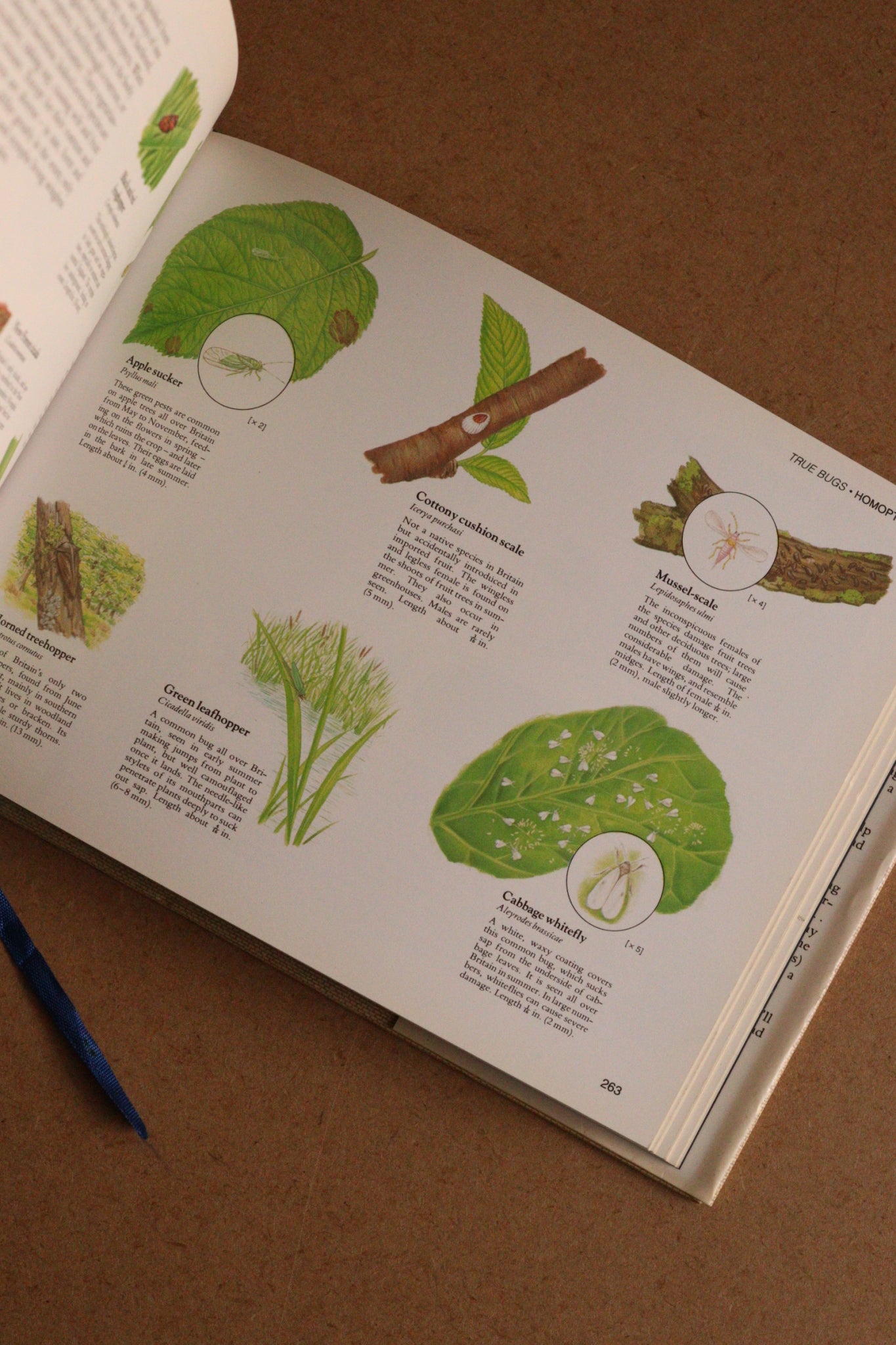 Reader's Digest Nature Lover's Library Field Guides of Britain, 1ª Edición, 1981-1984, Completa