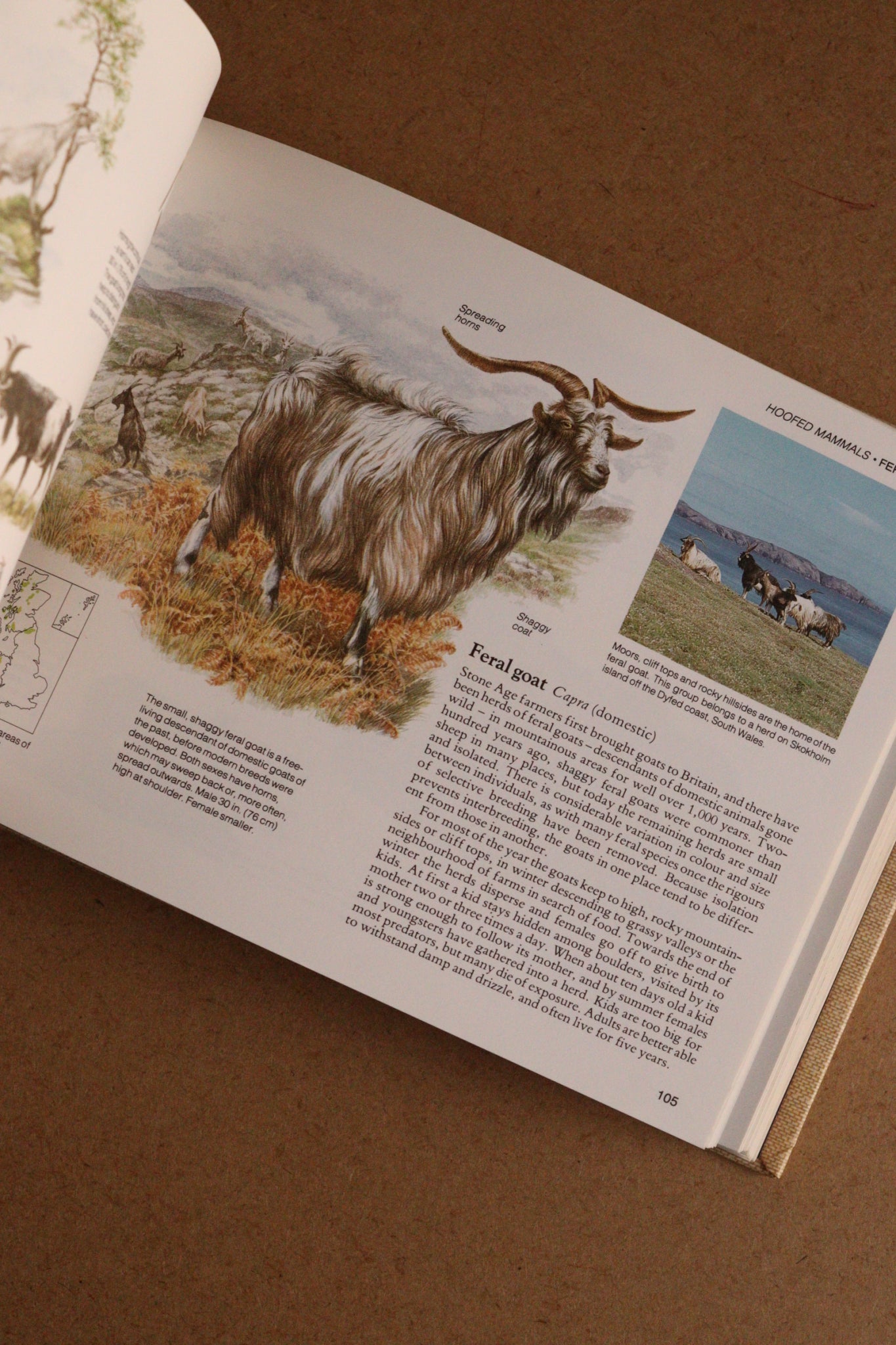 Reader's Digest Nature Lover's Library Field Guides of Britain, 1ª Edición, 1981-1984, Completa