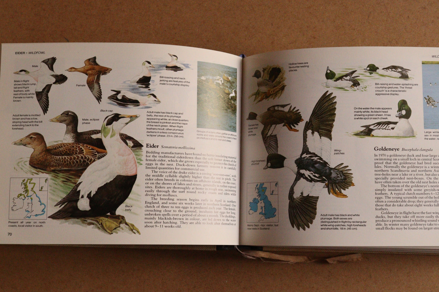 Reader's Digest Nature Lover's Library Field Guides of Britain, 1ª Edición, 1981-1984, Completa