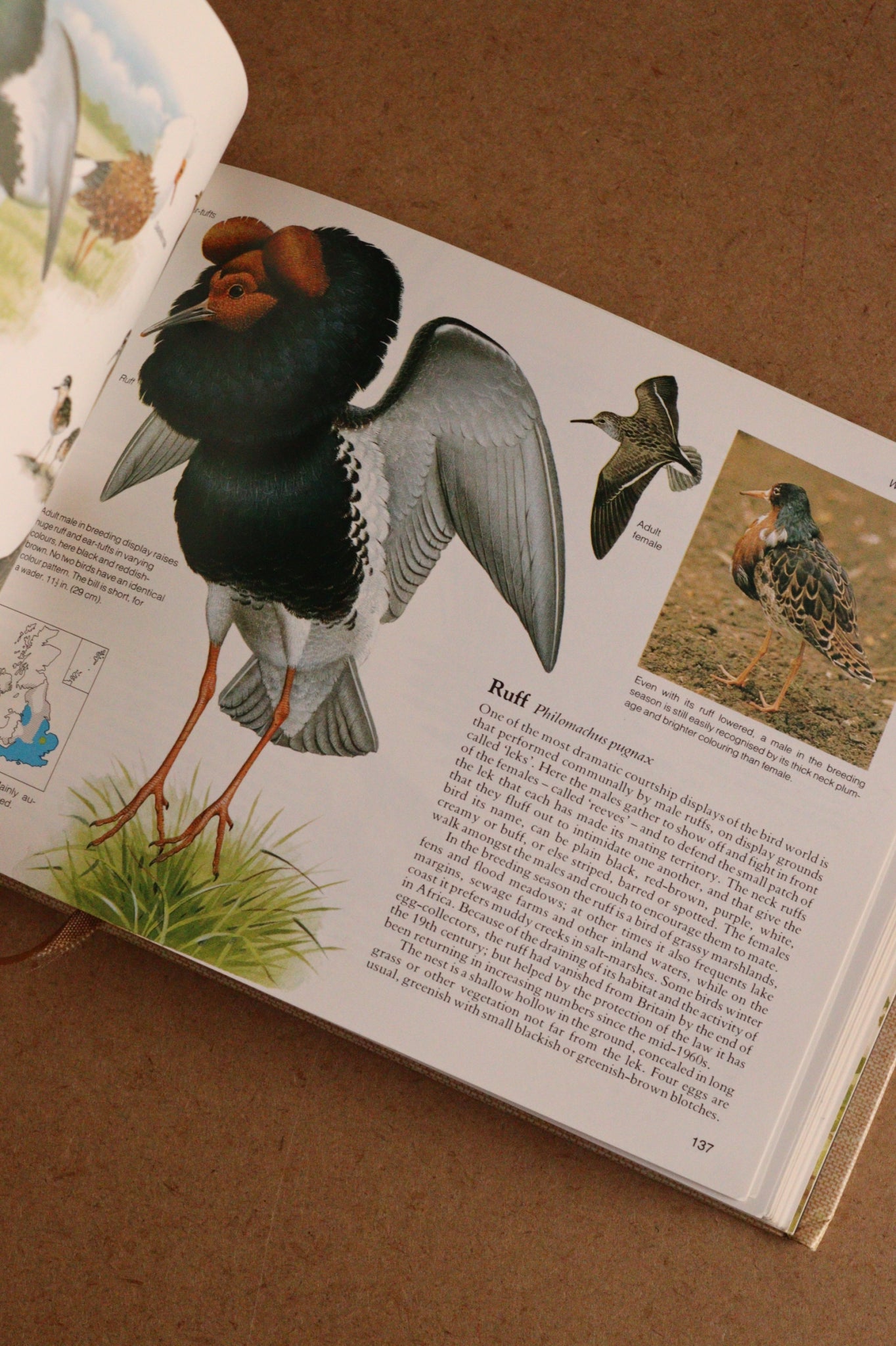 Reader's Digest Nature Lover's Library Field Guides of Britain, 1ª Edición, 1981-1984, Completa