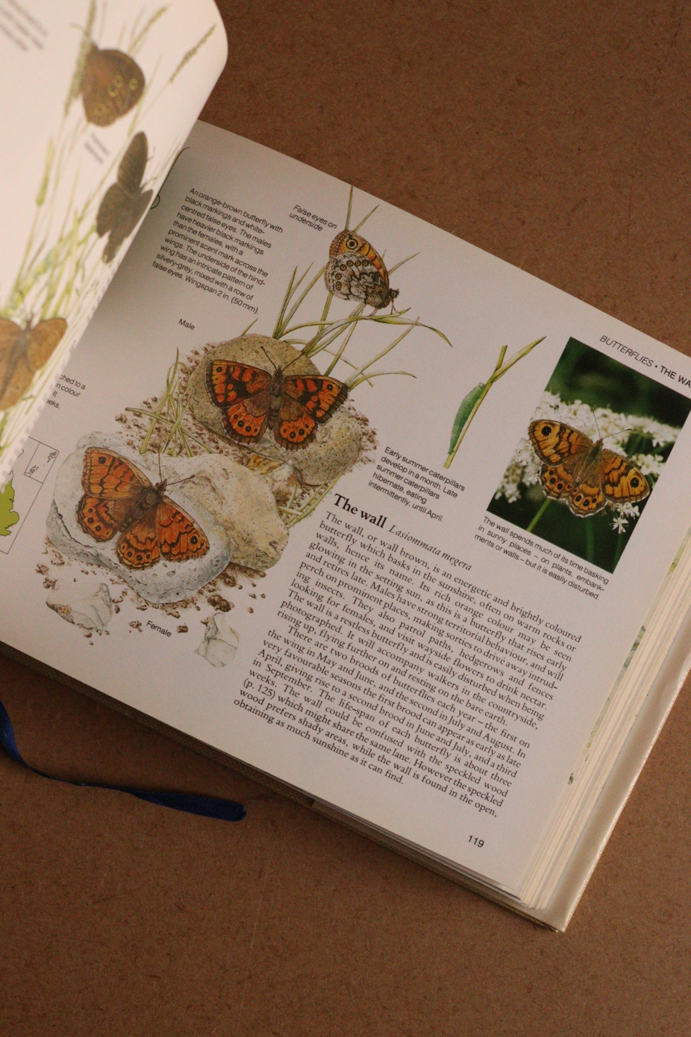 Reader's Digest Nature Lover's Library Field Guides of Britain, 1ª Edición, 1981-1984, Completa