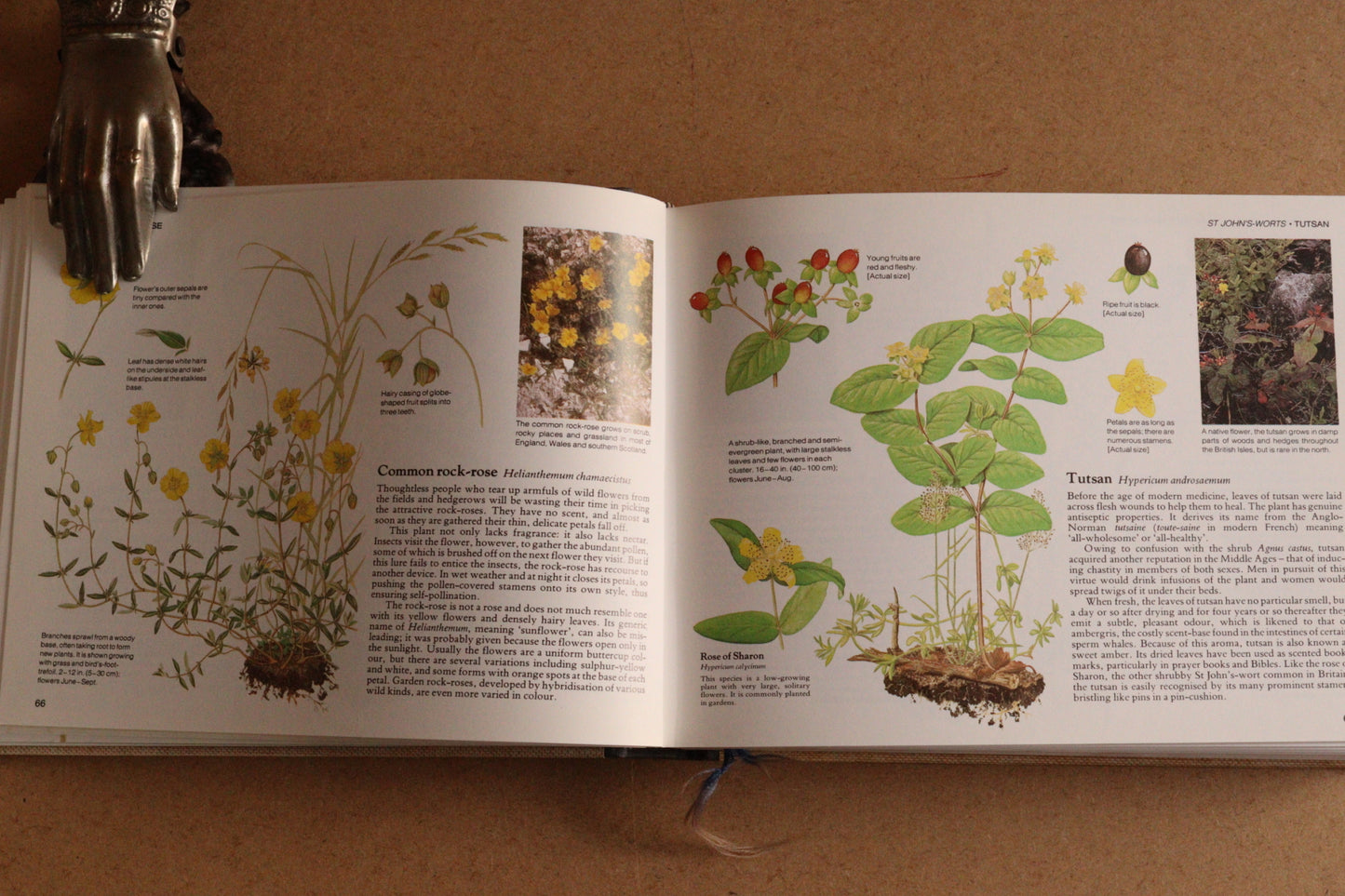 Reader's Digest Nature Lover's Library Field Guides of Britain, 1ª Edición, 1981-1984, Completa