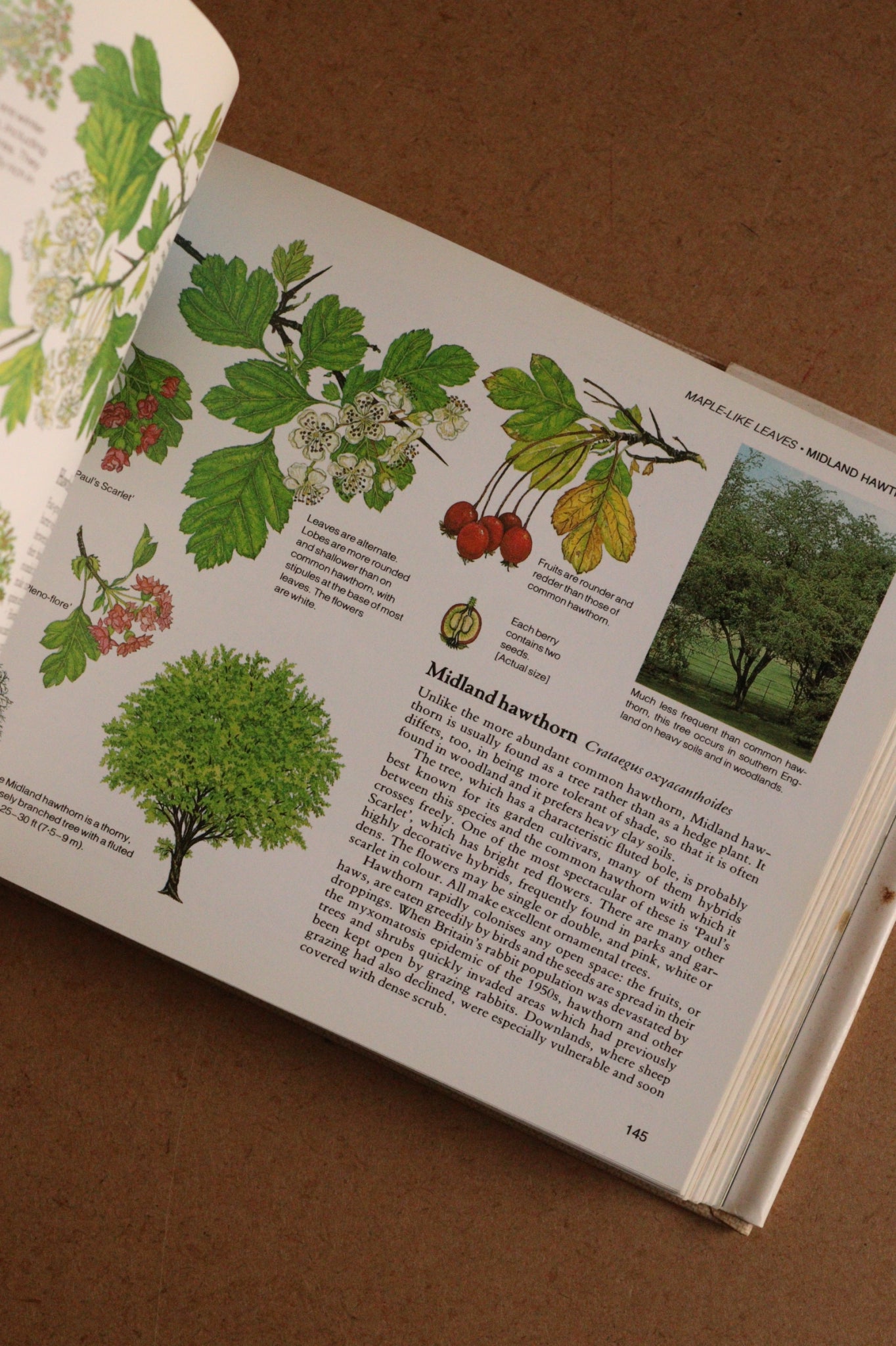 Reader's Digest Nature Lover's Library Field Guides of Britain, 1ª Edición, 1981-1984, Completa