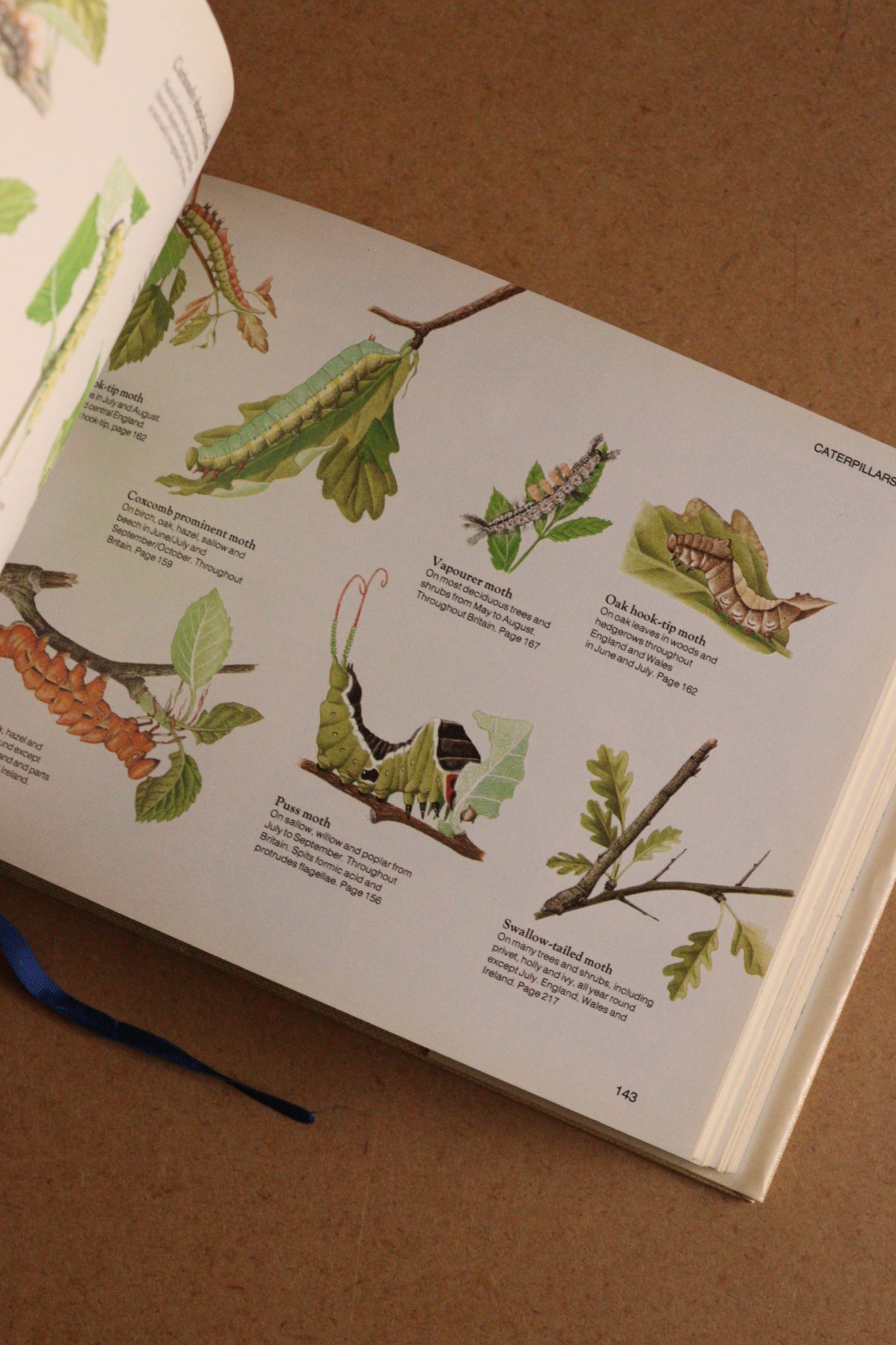 Reader's Digest Nature Lover's Library Field Guides of Britain, 1ª Edición, 1981-1984, Completa