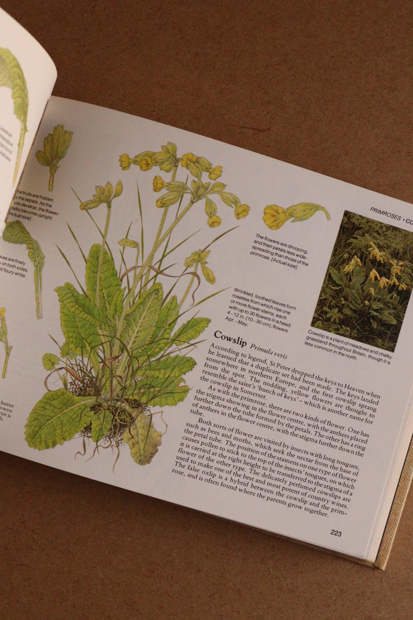 Reader's Digest Nature Lover's Library Field Guides of Britain, 1ª Edición, 1981-1984, Completa