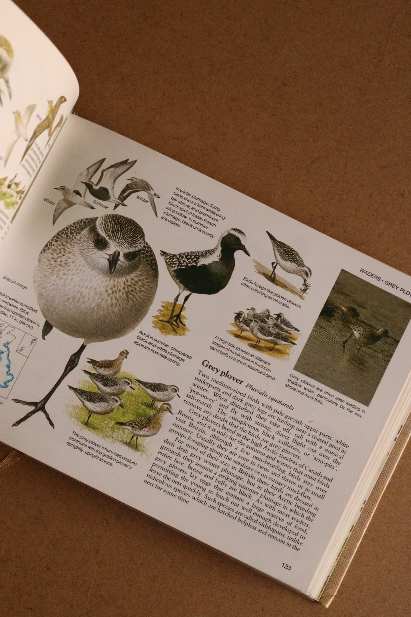 Reader's Digest Nature Lover's Library Field Guides of Britain, 1ª Edición, 1981-1984, Completa