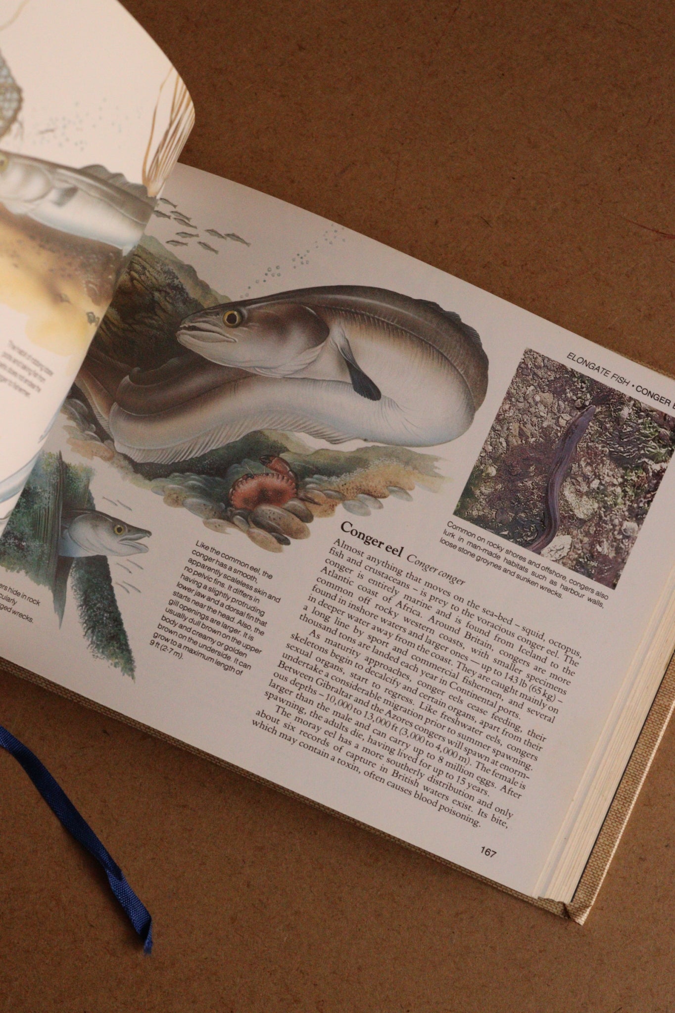Reader's Digest Nature Lover's Library Field Guides of Britain, 1ª Edición, 1981-1984, Completa