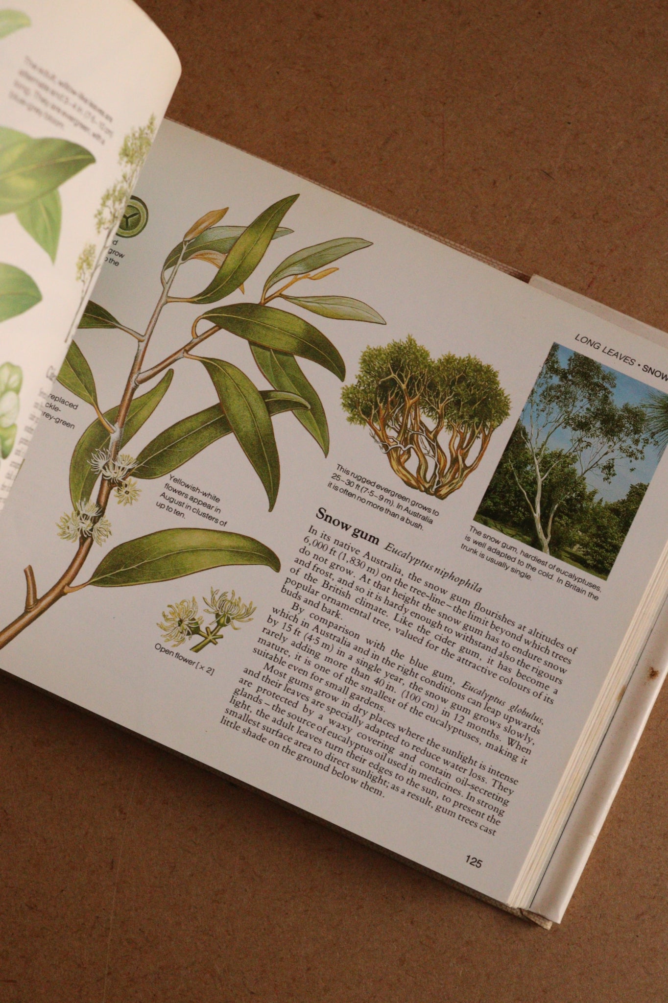 Reader's Digest Nature Lover's Library Field Guides of Britain, 1ª Edición, 1981-1984, Completa