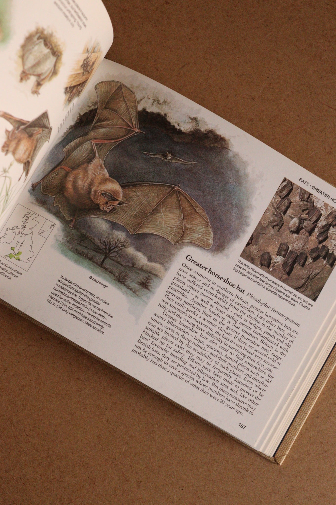 Reader's Digest Nature Lover's Library Field Guides of Britain, 1ª Edición, 1981-1984, Completa