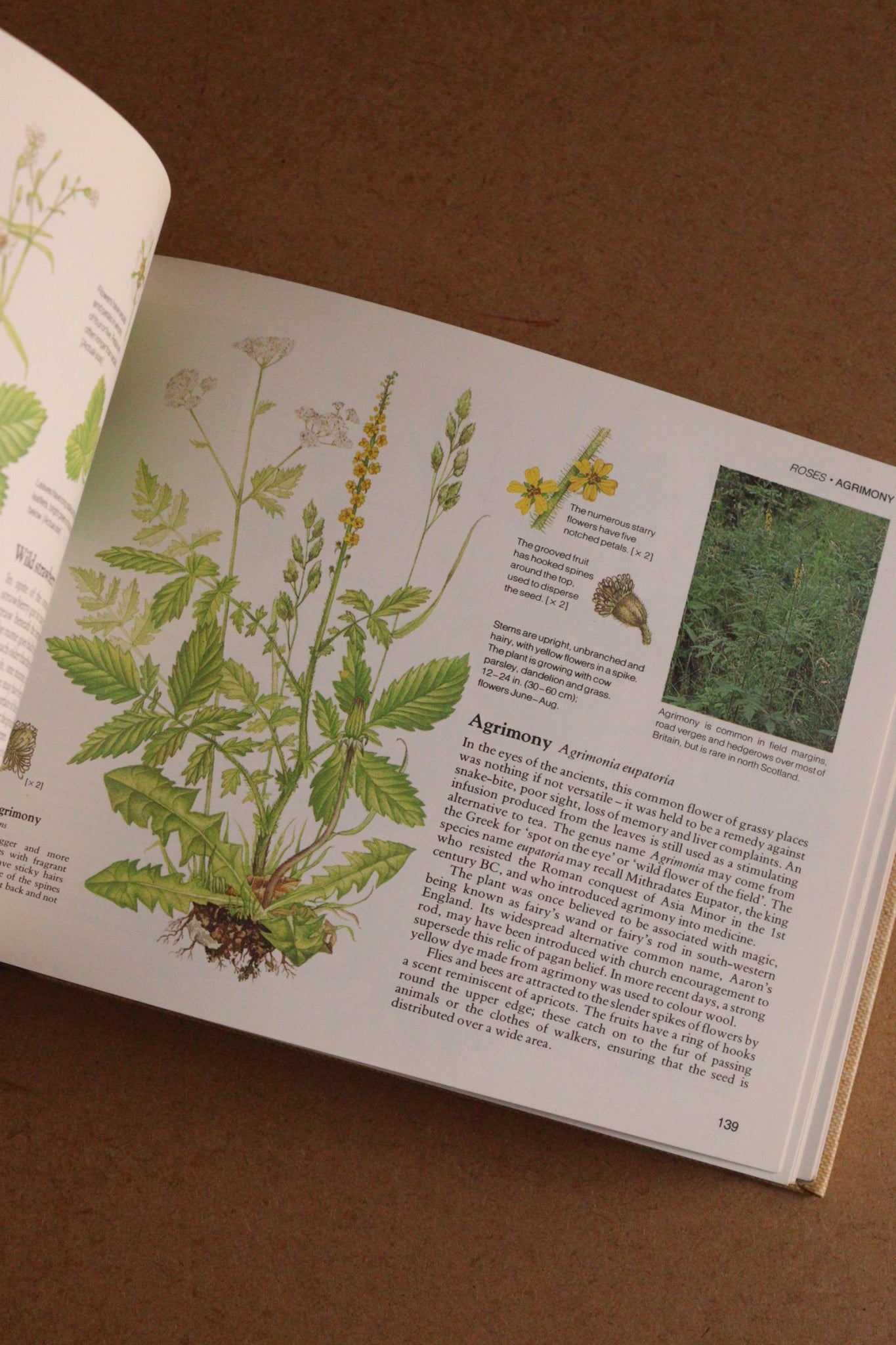Reader's Digest Nature Lover's Library Field Guides of Britain, 1ª Edición, 1981-1984, Completa
