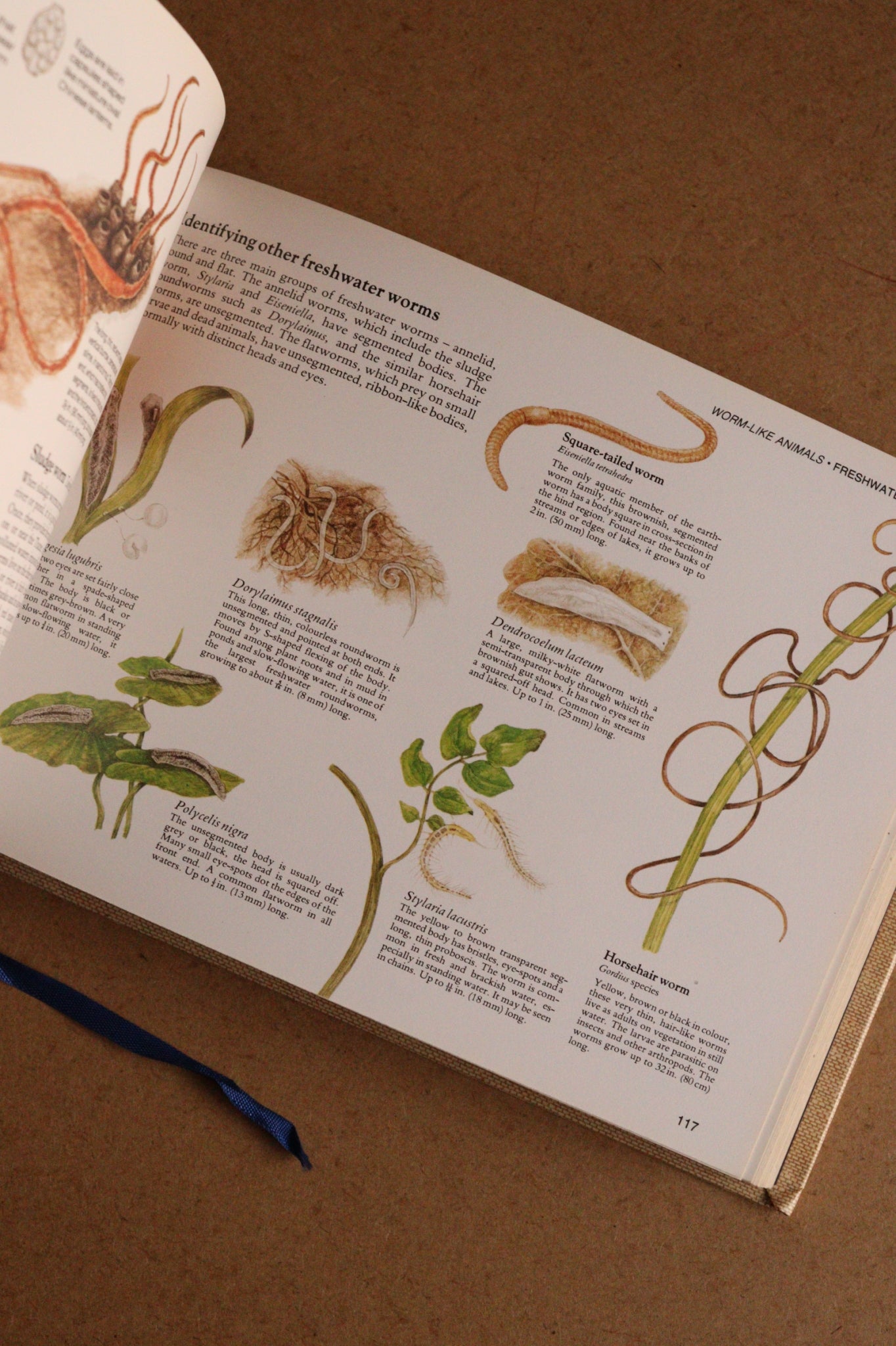 Reader's Digest Nature Lover's Library Field Guides of Britain, 1ª Edición, 1981-1984, Completa