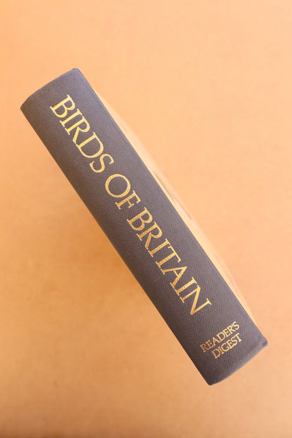 Birds of Britain, 1981