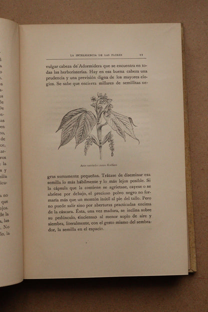 La inteligencia de las flores, Montaner y Simón, 1914