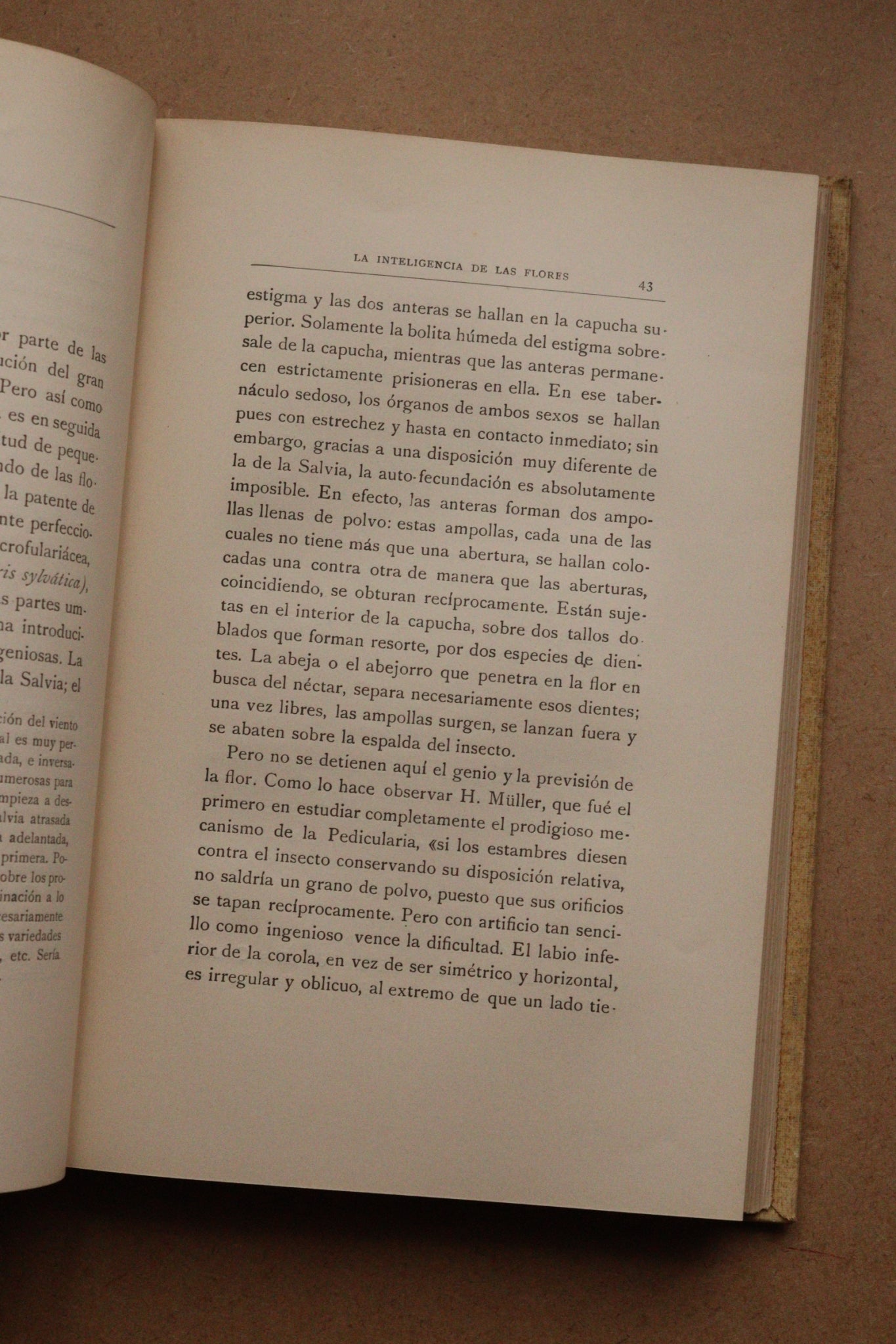La inteligencia de las flores, Montaner y Simón, 1914