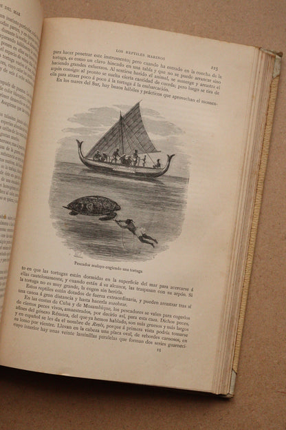 Misterios del Mar, Montaner y Simón, 1891