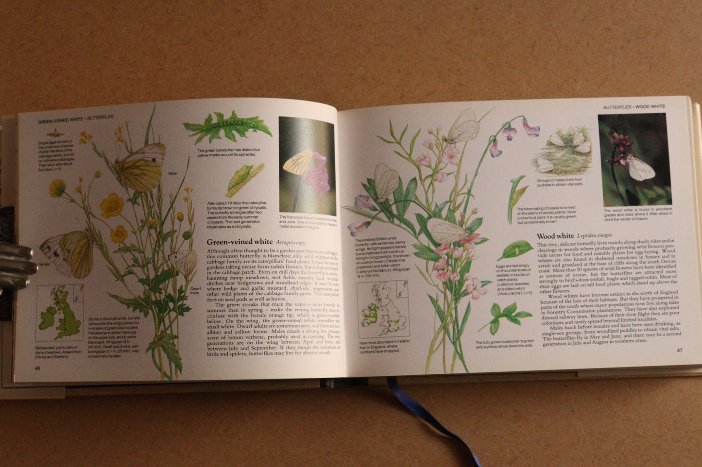Reader's Digest Nature Lover's Library Field Guides of Britain, 1ª Edición, 1981-1984, Completa