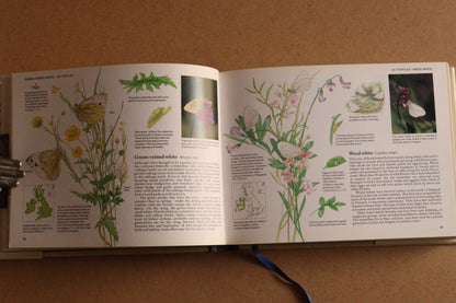 Reader's Digest Nature Lover's Library Field Guides of Britain, 1ª Edición, 1981-1984, Completa