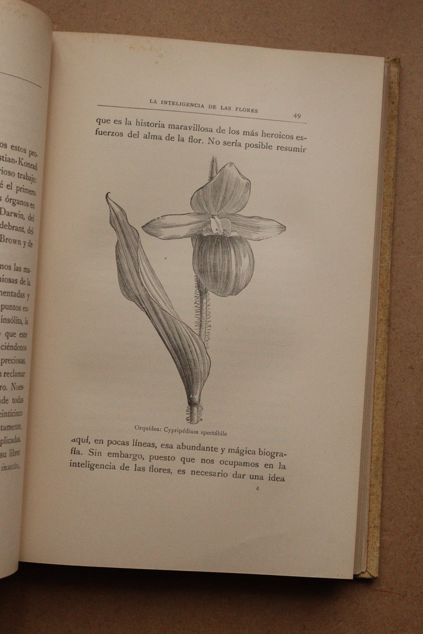 La inteligencia de las flores, Montaner y Simón, 1914