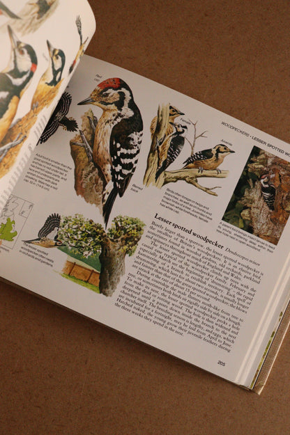 Reader's Digest Nature Lover's Library Field Guides of Britain, 1ª Edición, 1981-1984, Completa