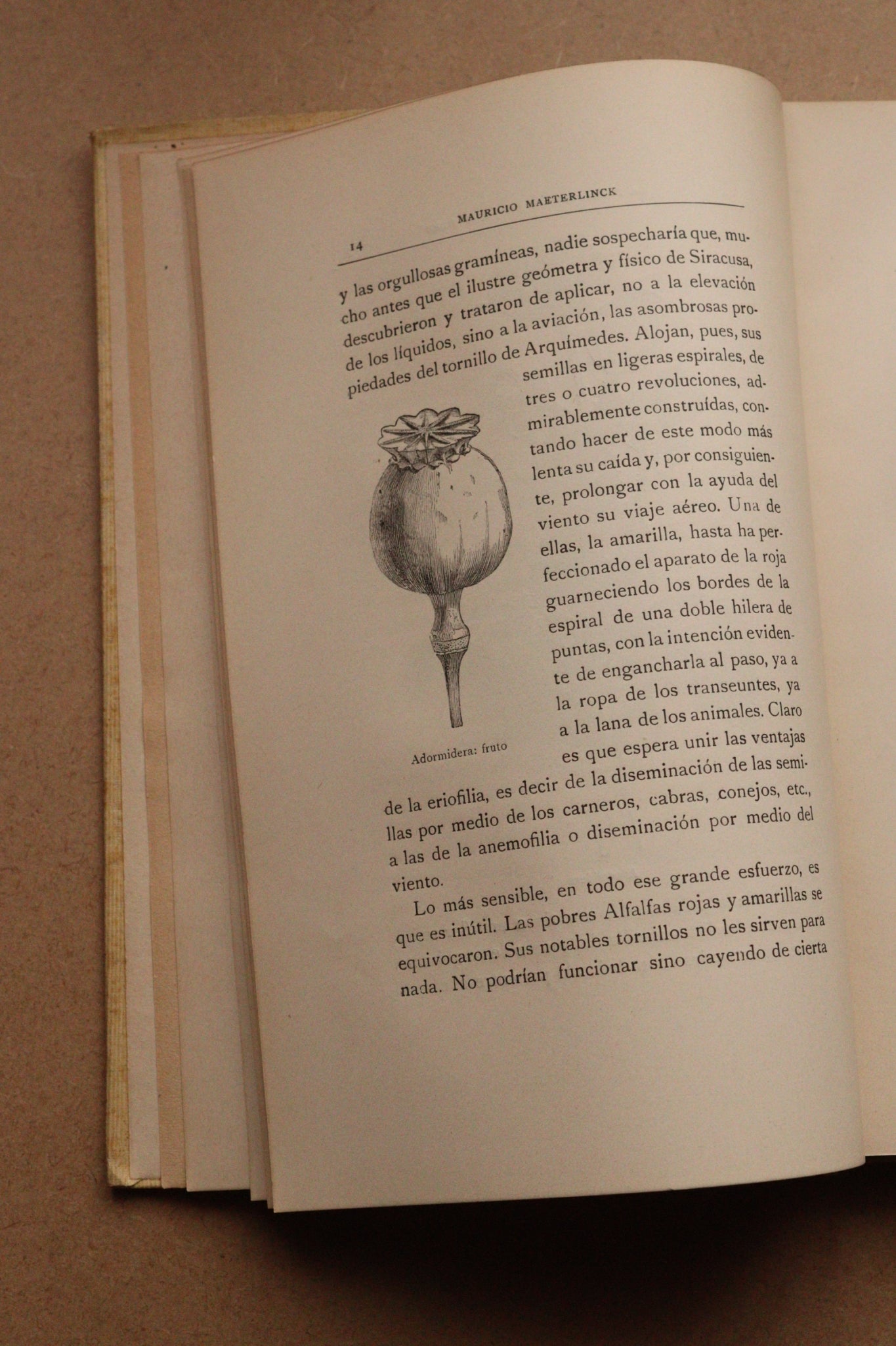 La inteligencia de las flores, Montaner y Simón, 1914