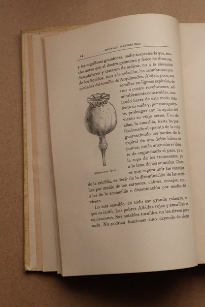 La inteligencia de las flores, Montaner y Simón, 1914