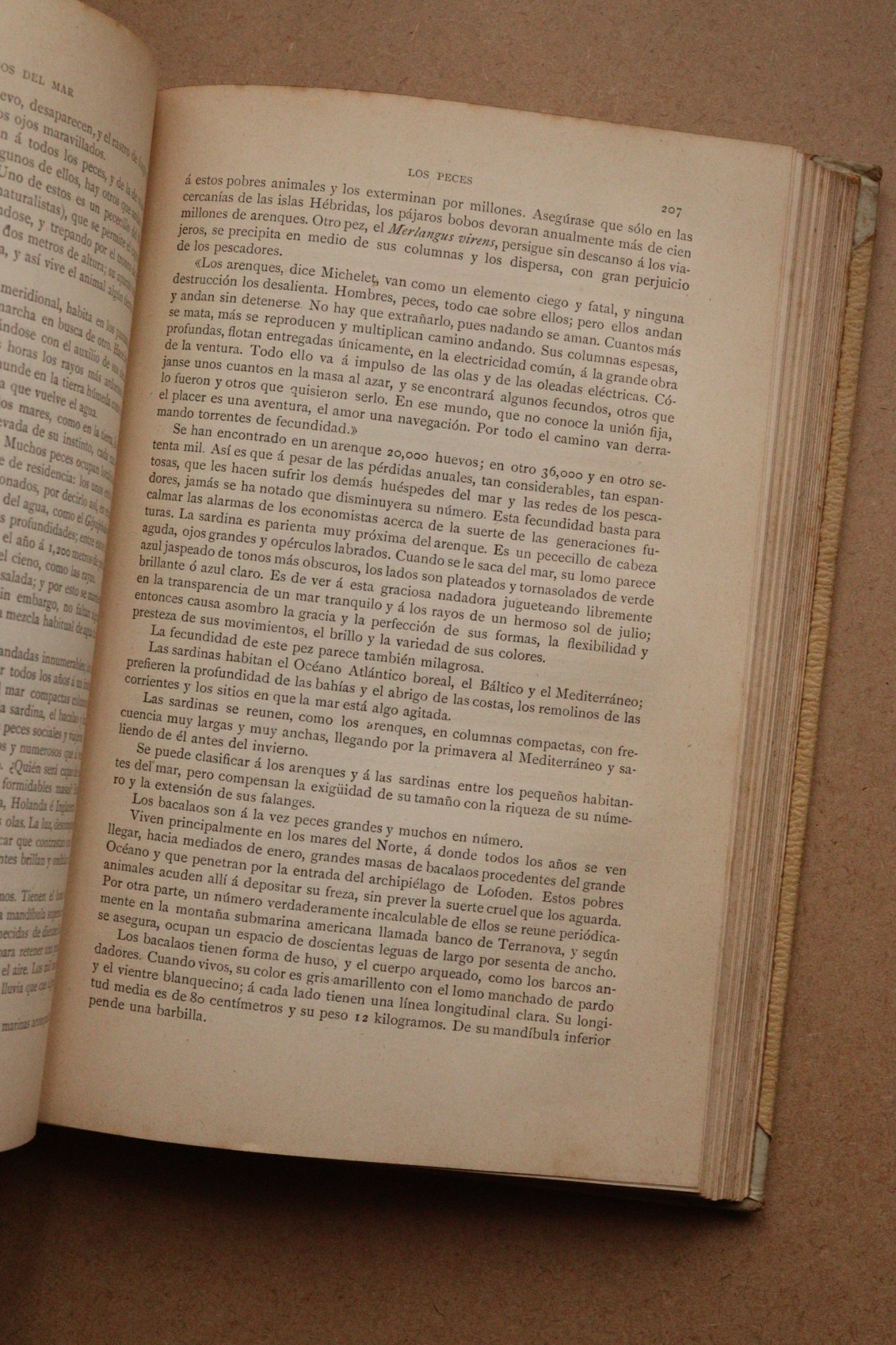 Misterios del Mar, Montaner y Simón, 1891