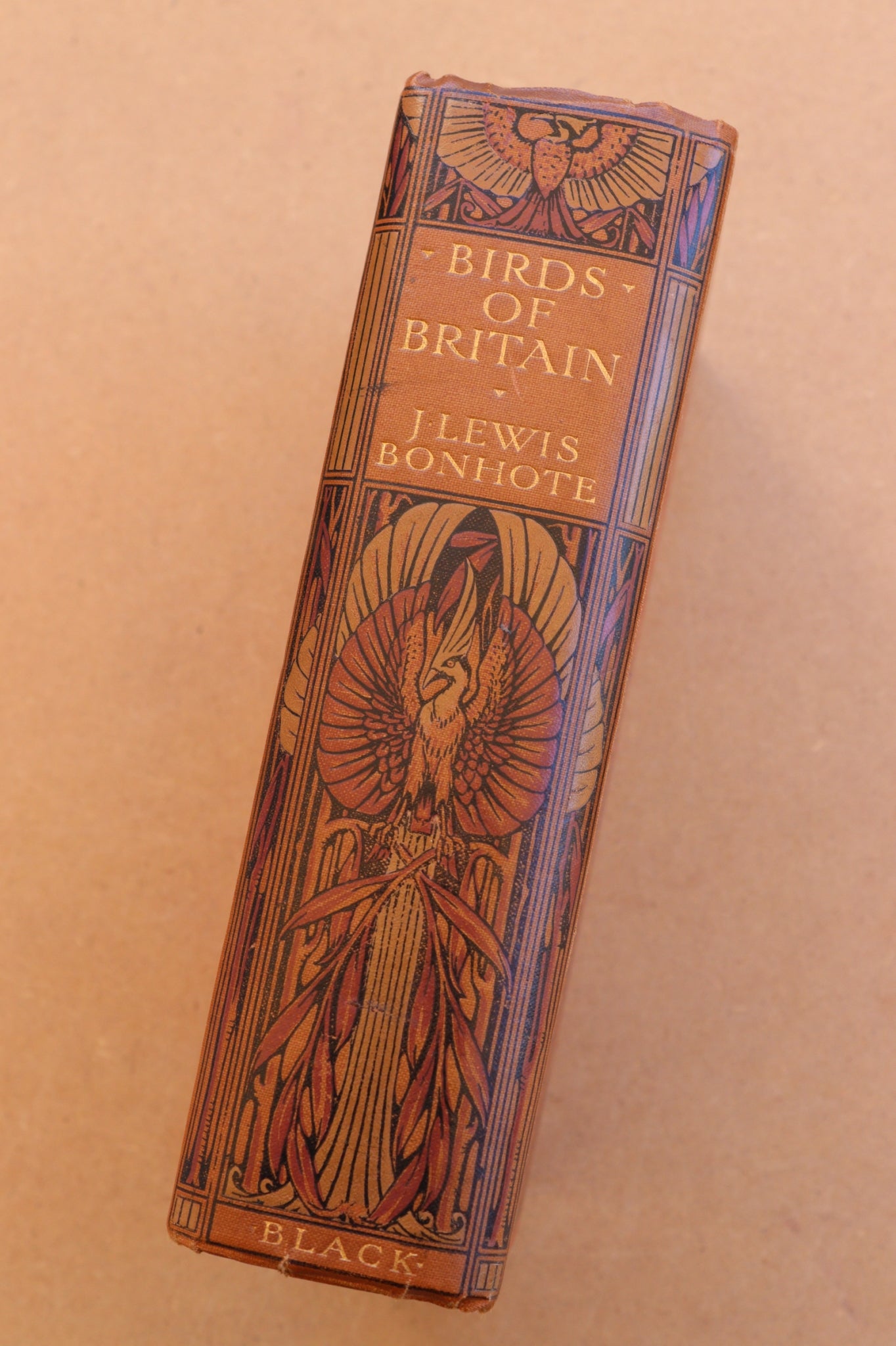 Birds of Britain, J. Lewis Bonhote, 1907