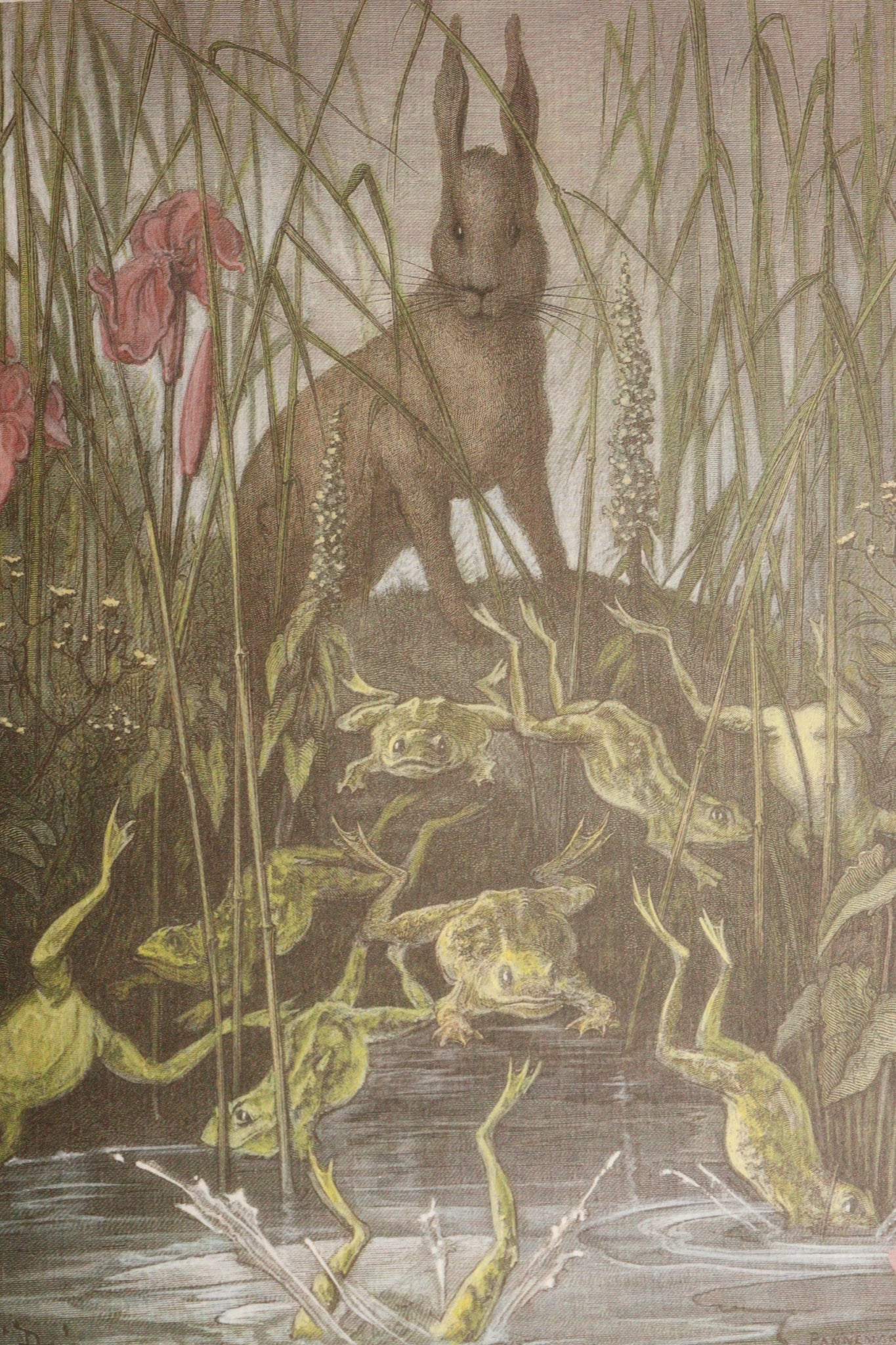 Fábulas de la Fontaine, Edición Limitada y Numerada, 1995