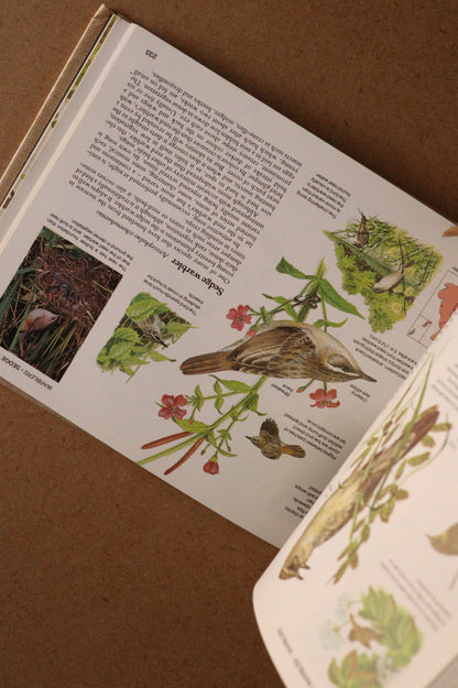 Reader's Digest Nature Lover's Library Field Guides of Britain, 1ª Edición, 1981-1984, Completa