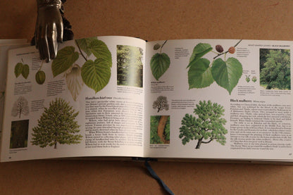 Reader's Digest Nature Lover's Library Field Guides of Britain, 1ª Edición, 1981-1984, Completa
