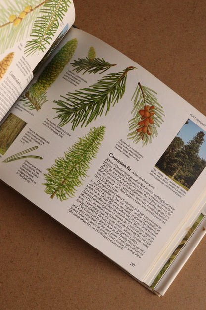 Reader's Digest Nature Lover's Library Field Guides of Britain, 1ª Edición, 1981-1984, Completa
