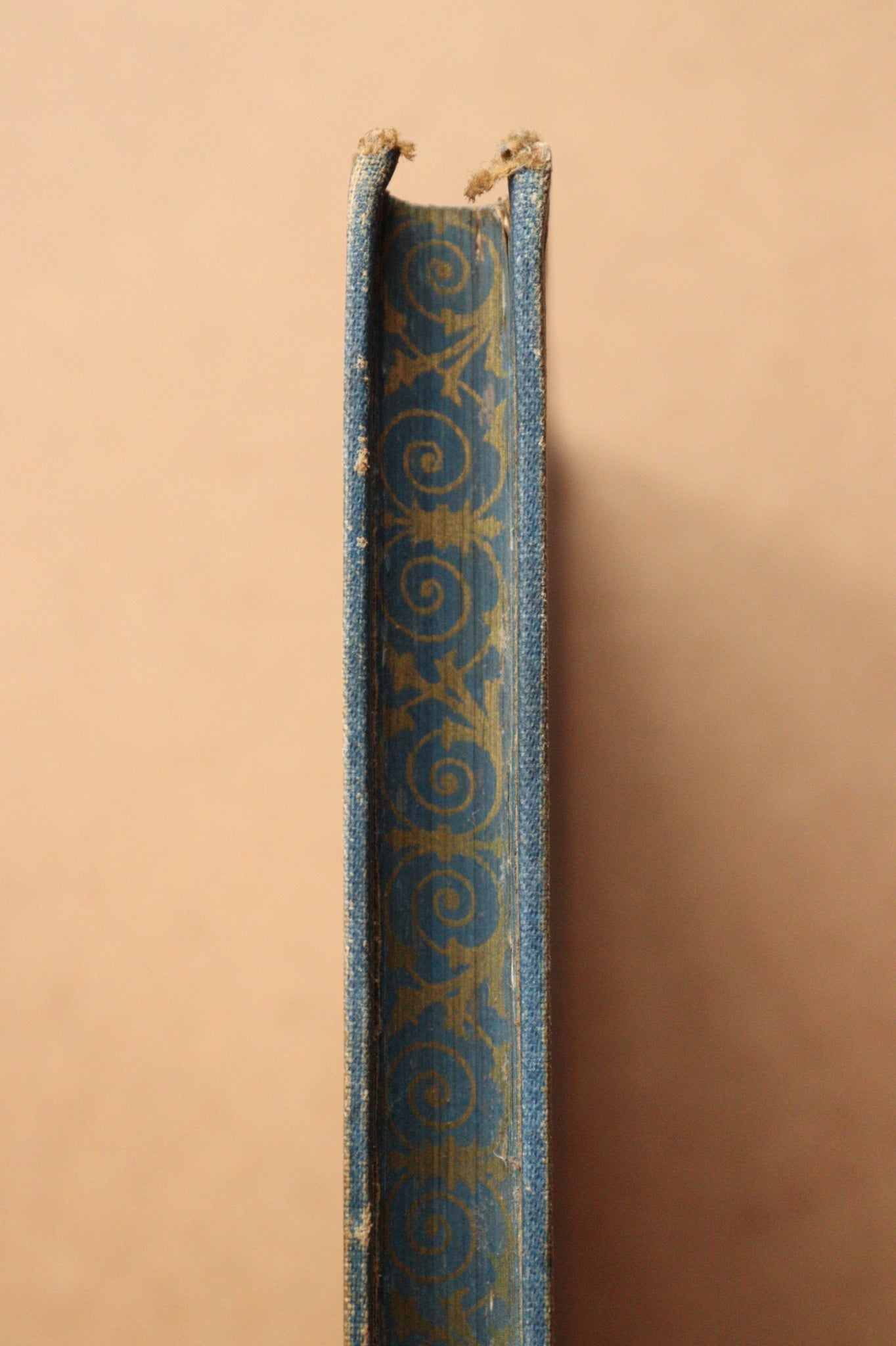 Libro de los Cantares, Poesías de Heine, Biblioteca Arte y Letras, 1885
