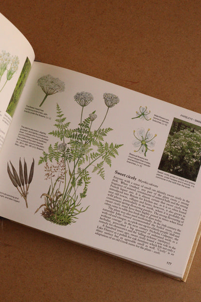 Reader's Digest Nature Lover's Library Field Guides of Britain, 1ª Edición, 1981-1984, Completa