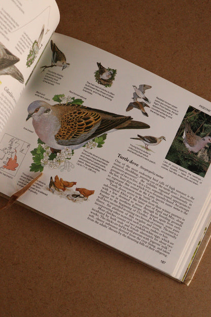 Reader's Digest Nature Lover's Library Field Guides of Britain, 1ª Edición, 1981-1984, Completa