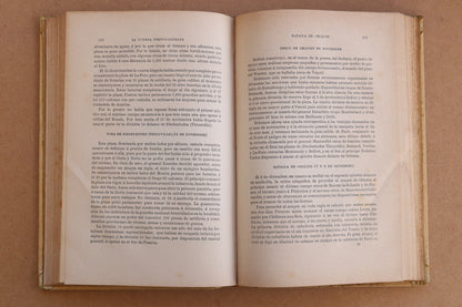 Historia de la Guerra Franco-Alemana, Montaner y Simón, 1891