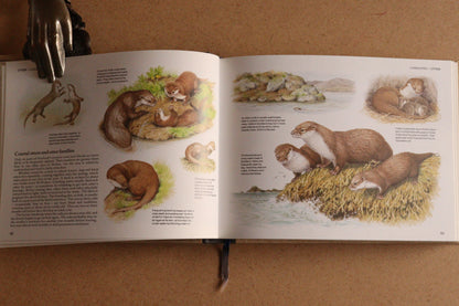 Reader's Digest Nature Lover's Library Field Guides of Britain, 1ª Edición, 1981-1984, Completa